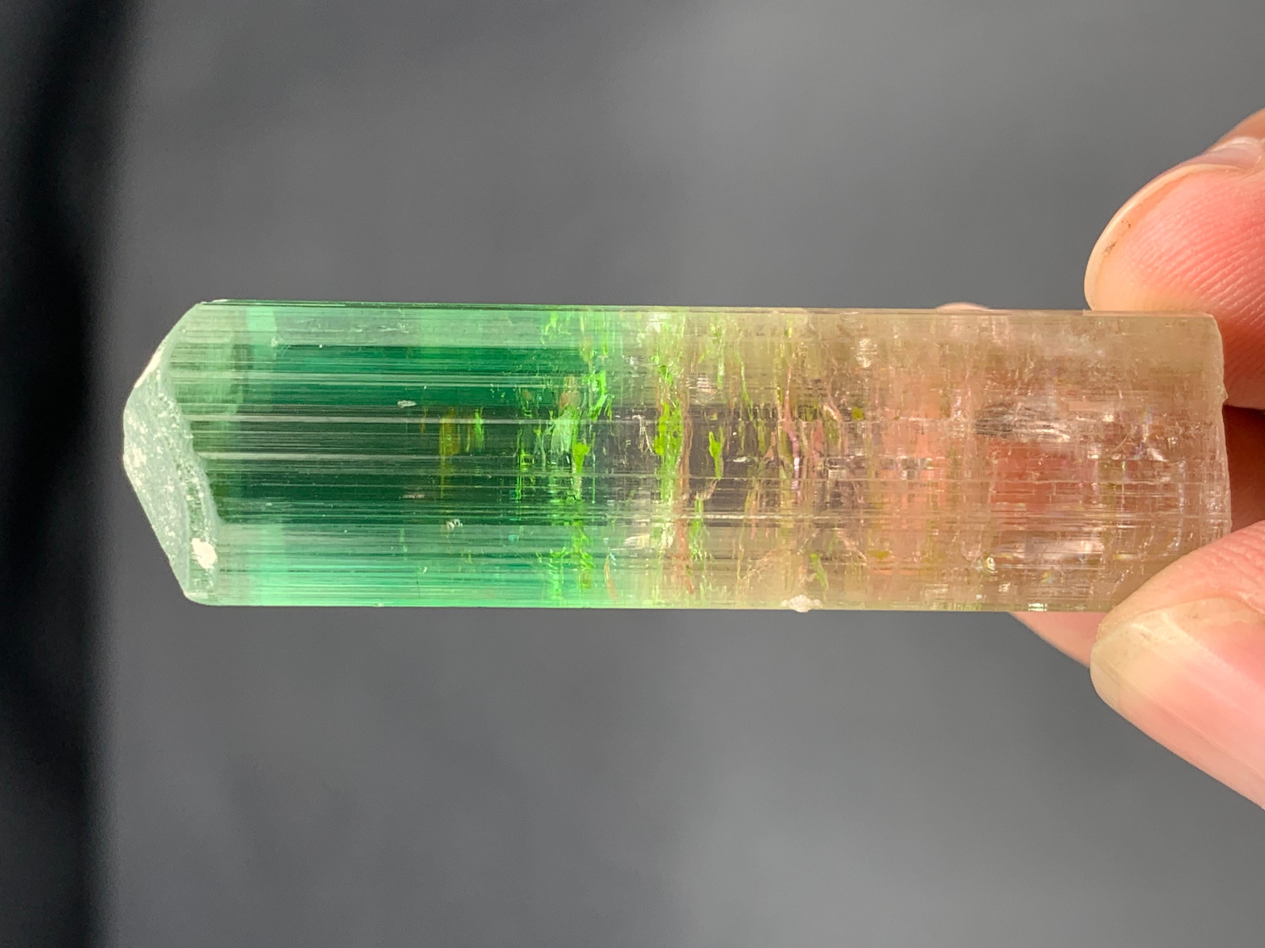 22,84 Gramm farbenfroher, mehrfarbiger Turmalinkristall aus der Paprook-Mine, Afghanistan im Angebot 3