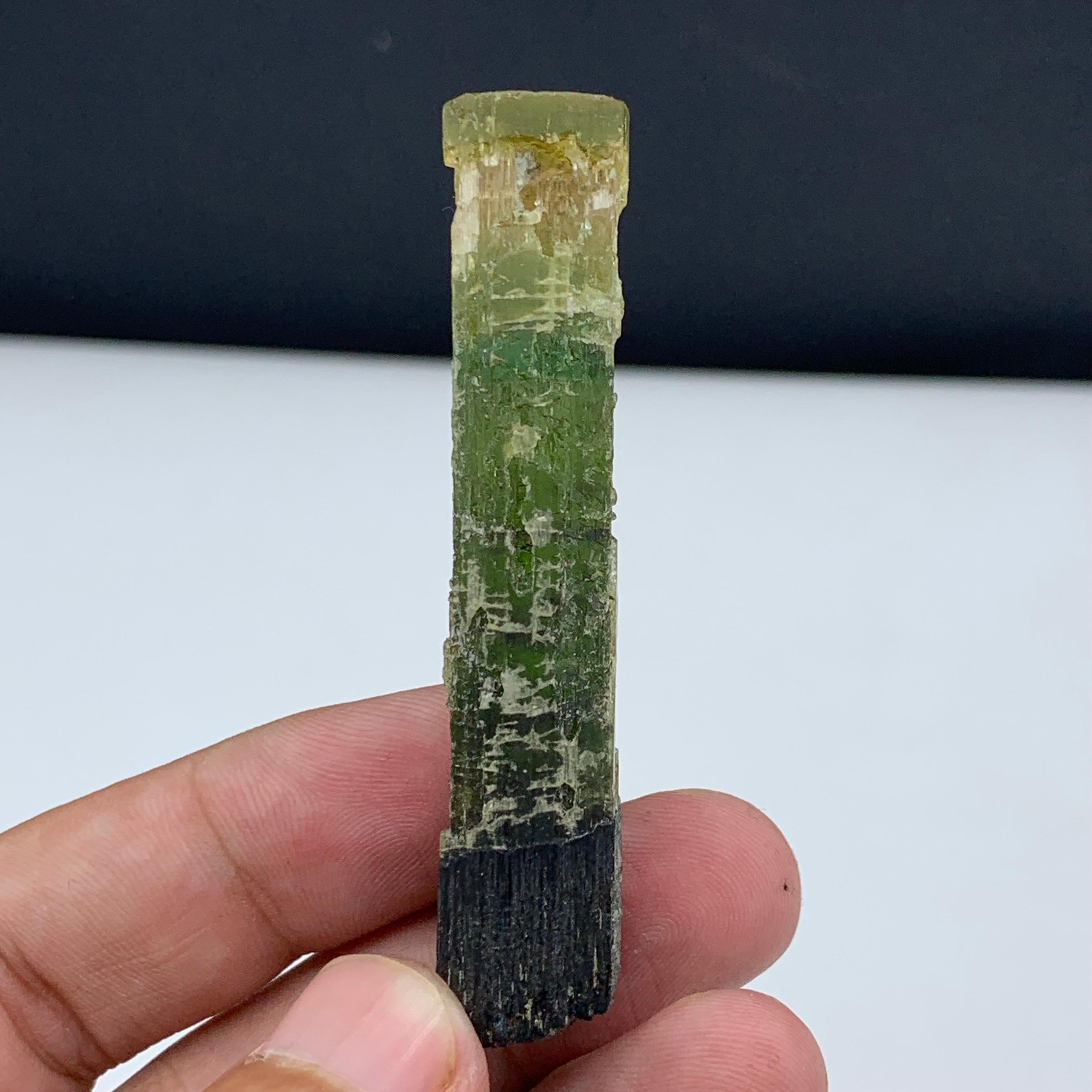22.94 Gram Pretty Tri Color Tourmaline Crystal From Paprook, Afghanistan For Sale 3
