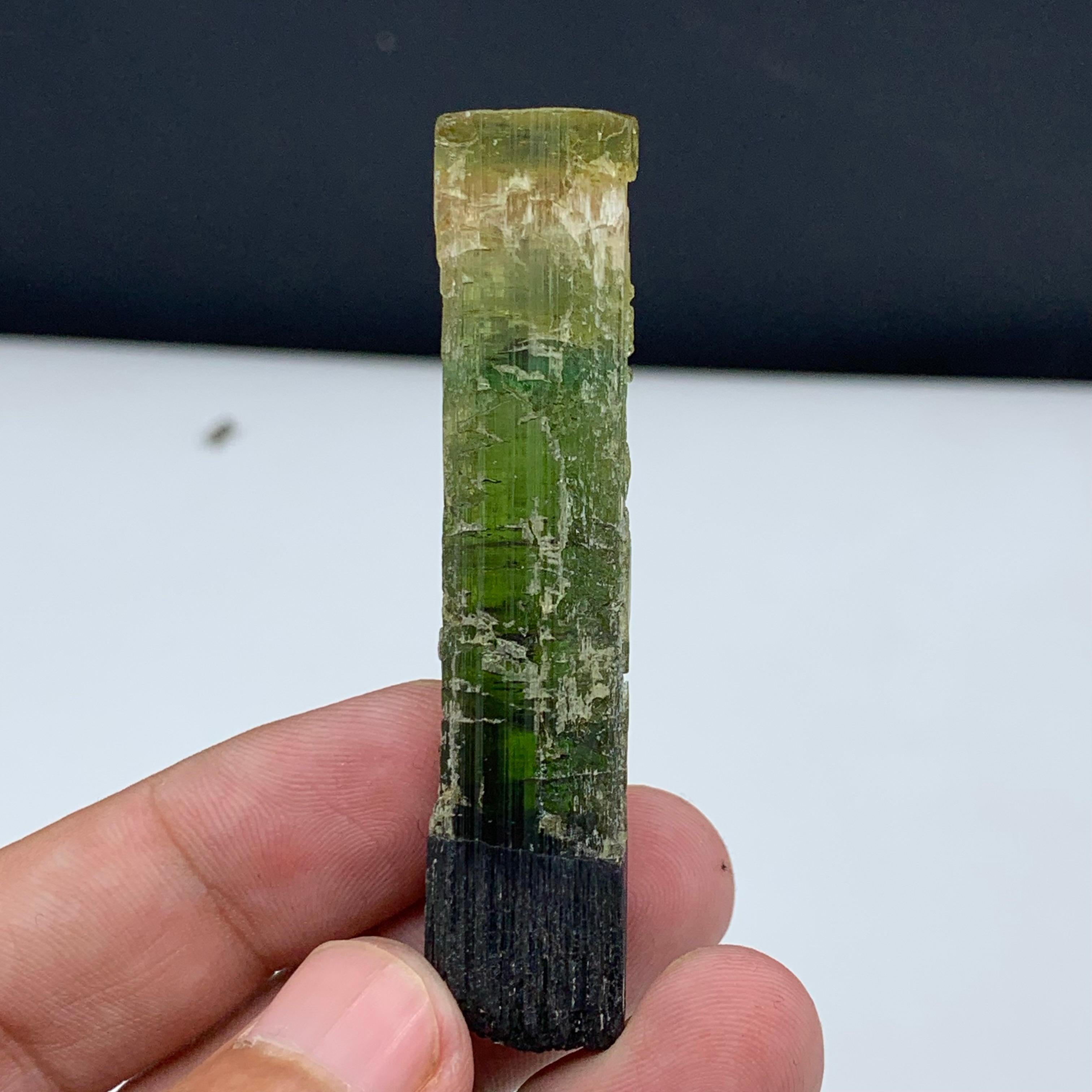 22.94 Gram Pretty Tri Color Tourmaline Crystal From Paprook, Afghanistan For Sale 4