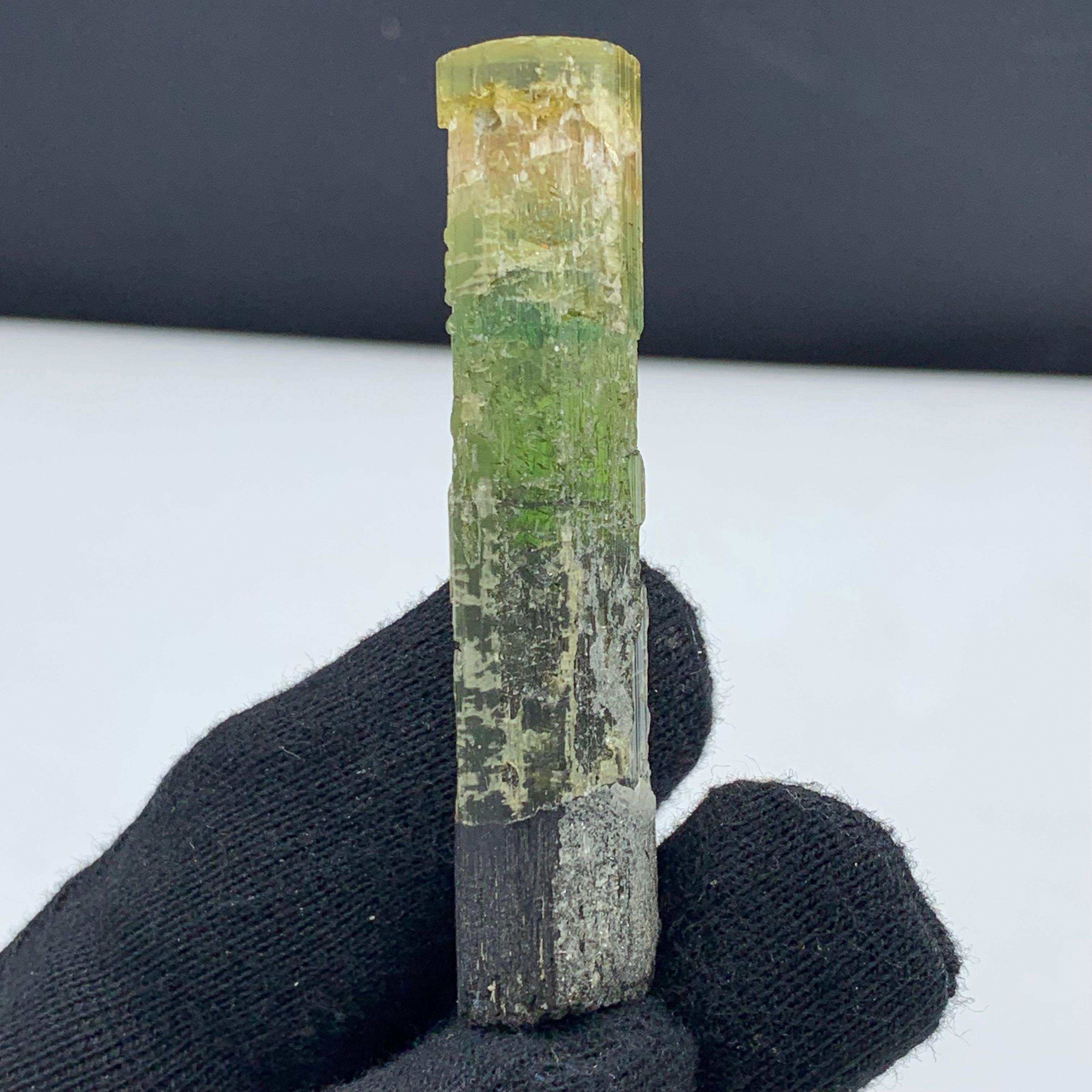 22.94 Gram Pretty Tri Color Tourmaline Crystal From Paprook, Afghanistan

Weight: 22.94 Gram
Dimension: 6.6 x 1.4 x 1.2 Cm
Origin: Paprook, Afghanistan

Tourmaline is a crystalline silicate mineral group in which boron is compounded with elements
