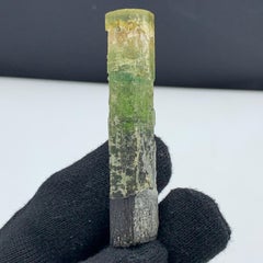 Joli cristal de tourmaline tricolore de Paprook, Afghanistan, 22,94 grammes