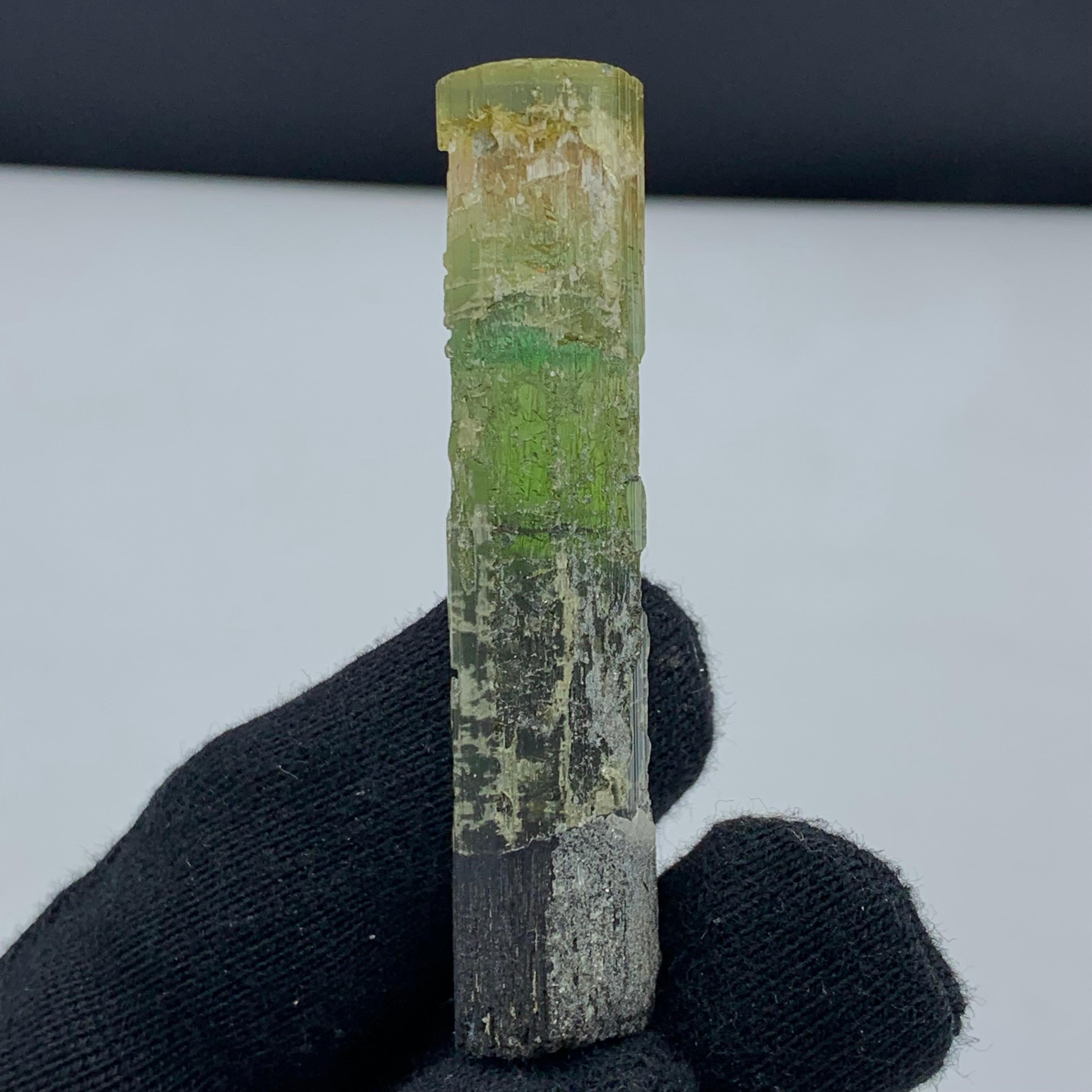 Other 22.94 Gram Pretty Tri Color Tourmaline Crystal From Paprook, Afghanistan For Sale