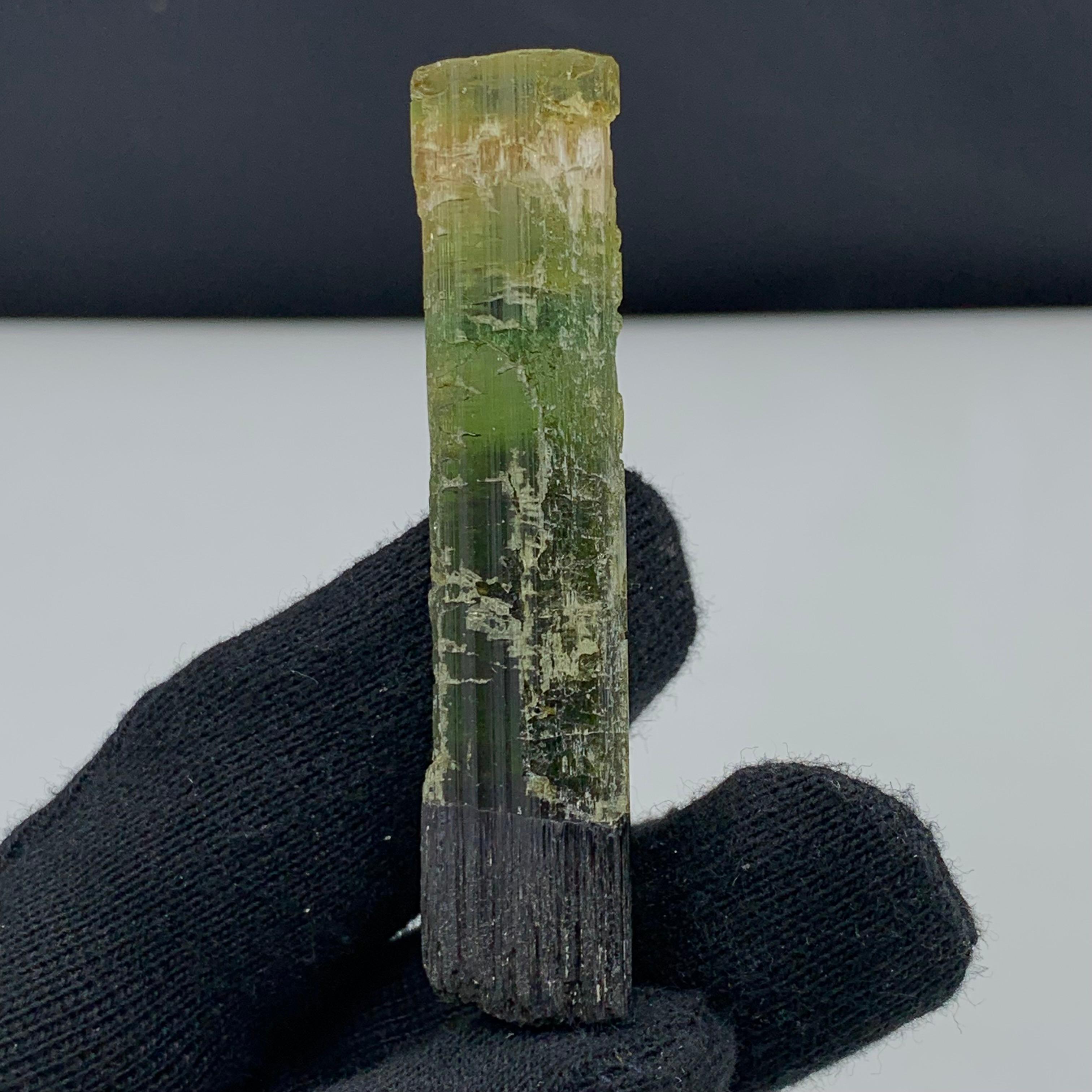 22.94 Gram Pretty Tri Color Tourmaline Crystal From Paprook, Afghanistan In Good Condition For Sale In Peshawar, PK