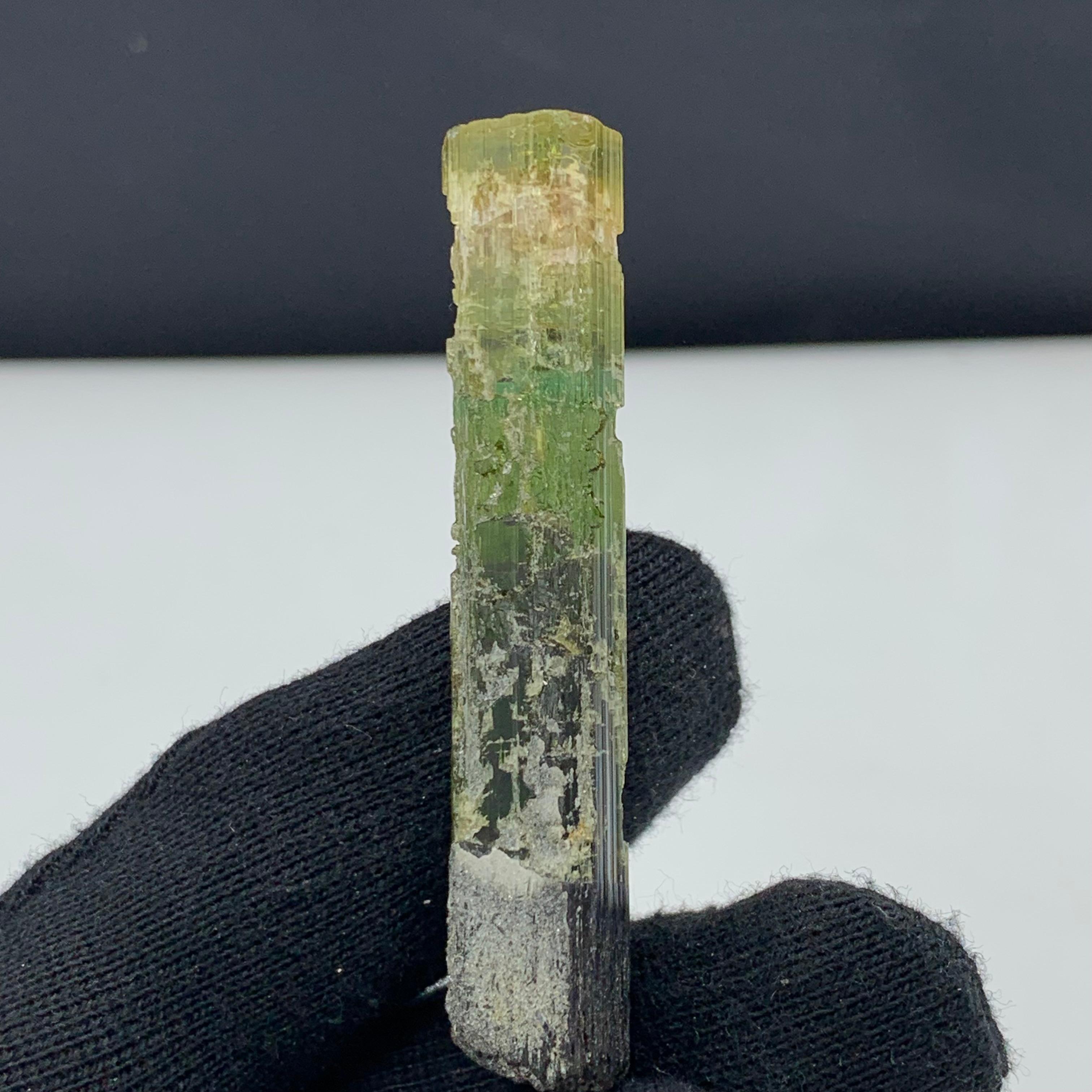 18th Century and Earlier 22.94 Gram Pretty Tri Color Tourmaline Crystal From Paprook, Afghanistan For Sale