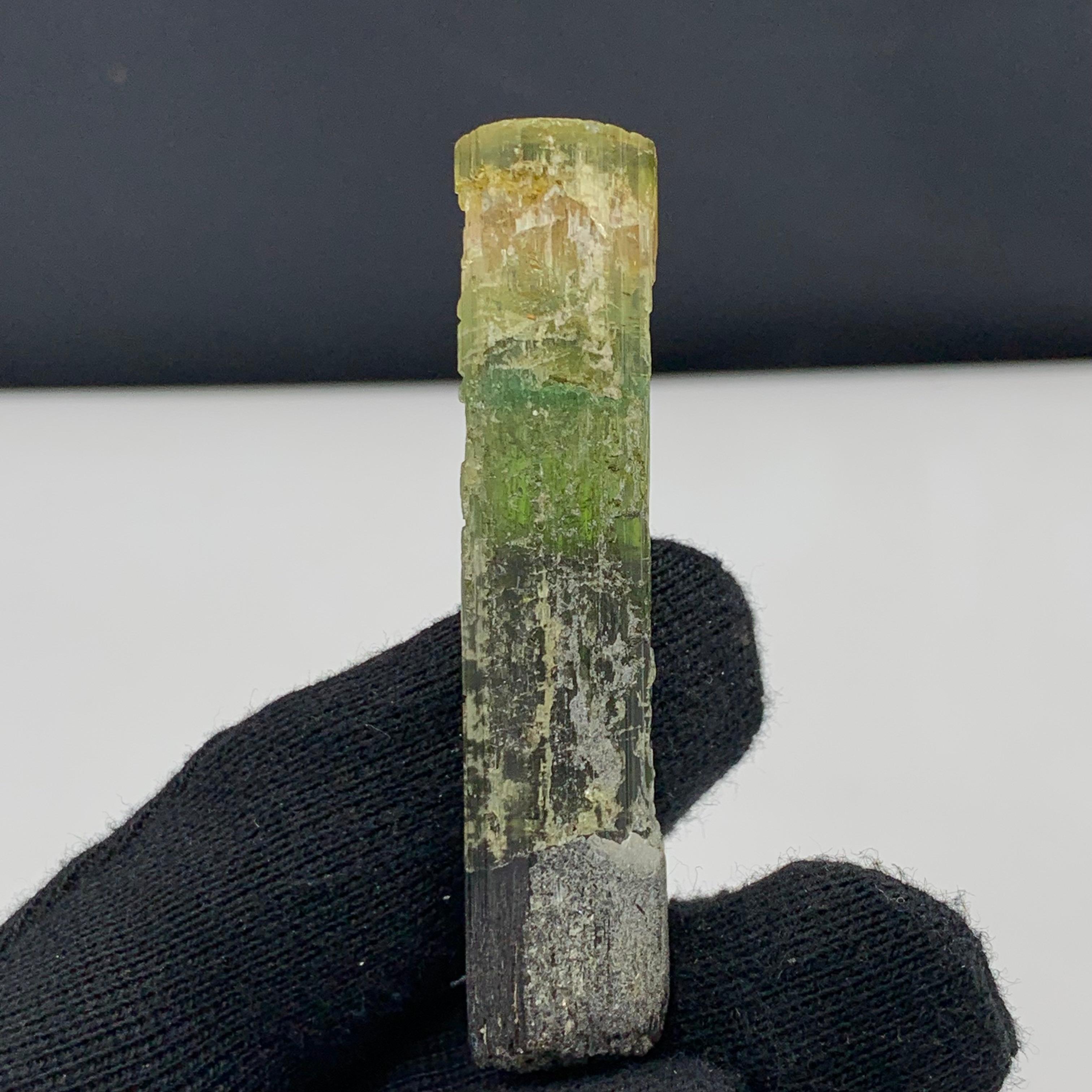 Rock Crystal 22.94 Gram Pretty Tri Color Tourmaline Crystal From Paprook, Afghanistan For Sale