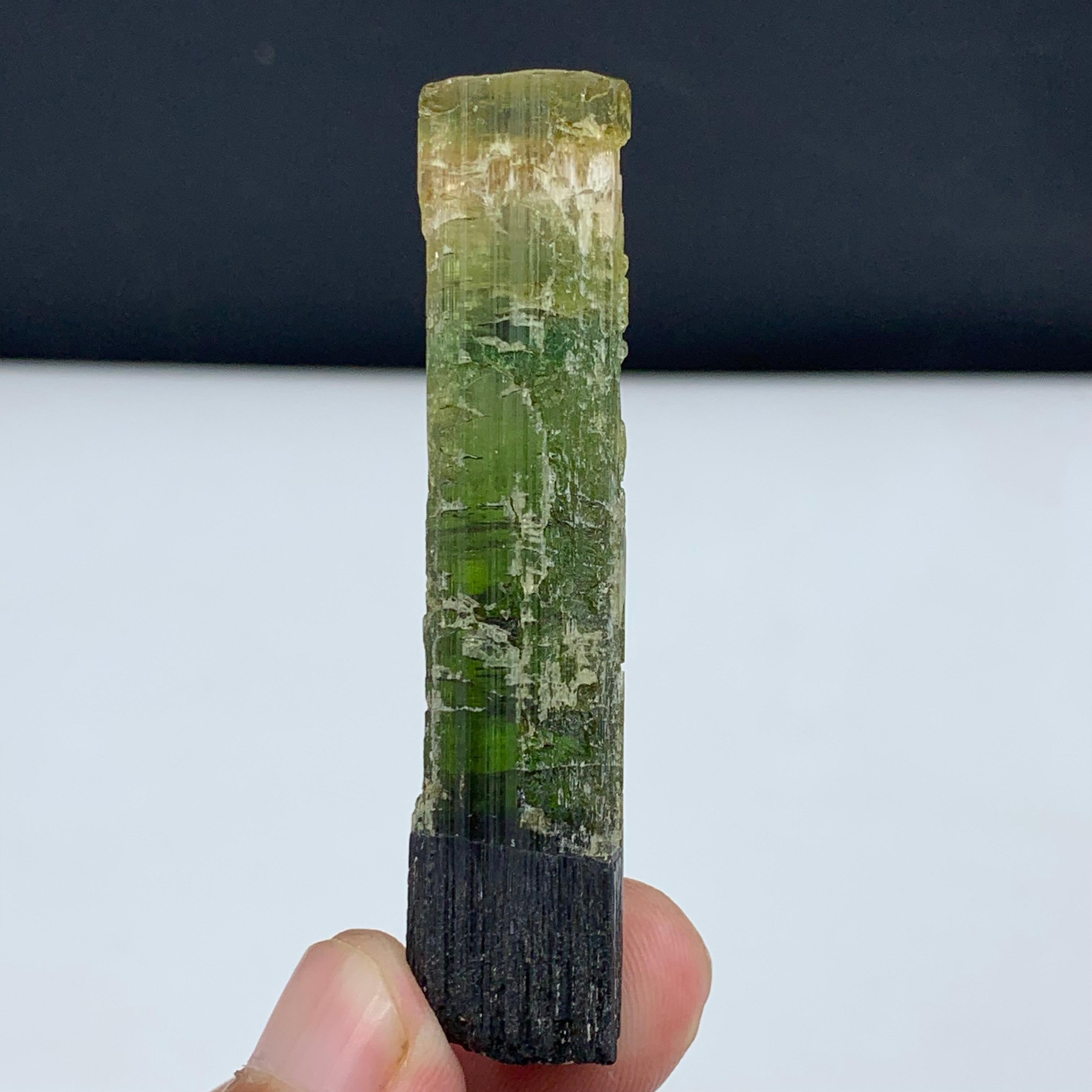Cristallo di rocca 22,94 grammi di grazioso cristallo di tormalina tricolore di Paprook, Afghanistan in vendita