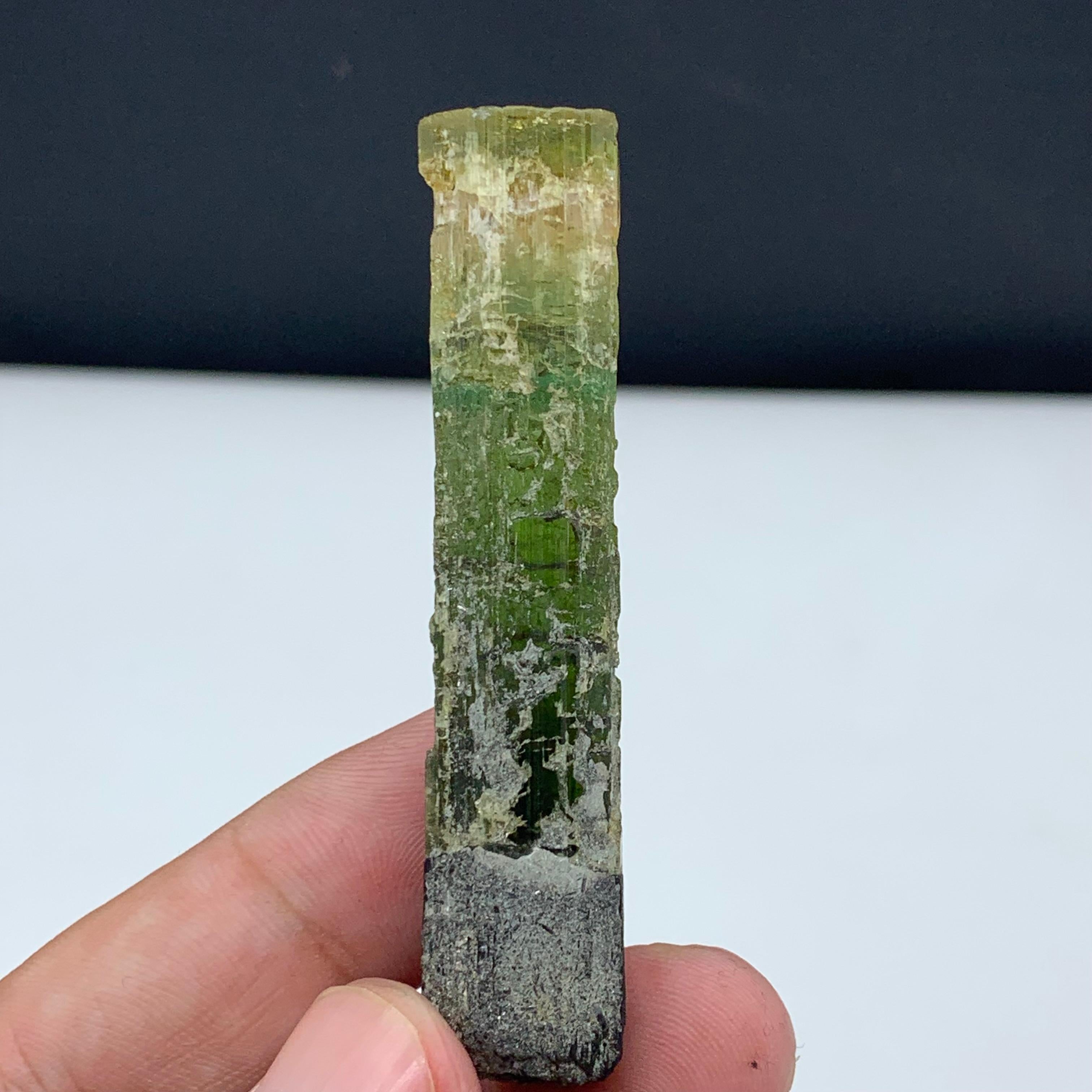 22.94 Gram Pretty Tri Color Tourmaline Crystal From Paprook, Afghanistan For Sale 2