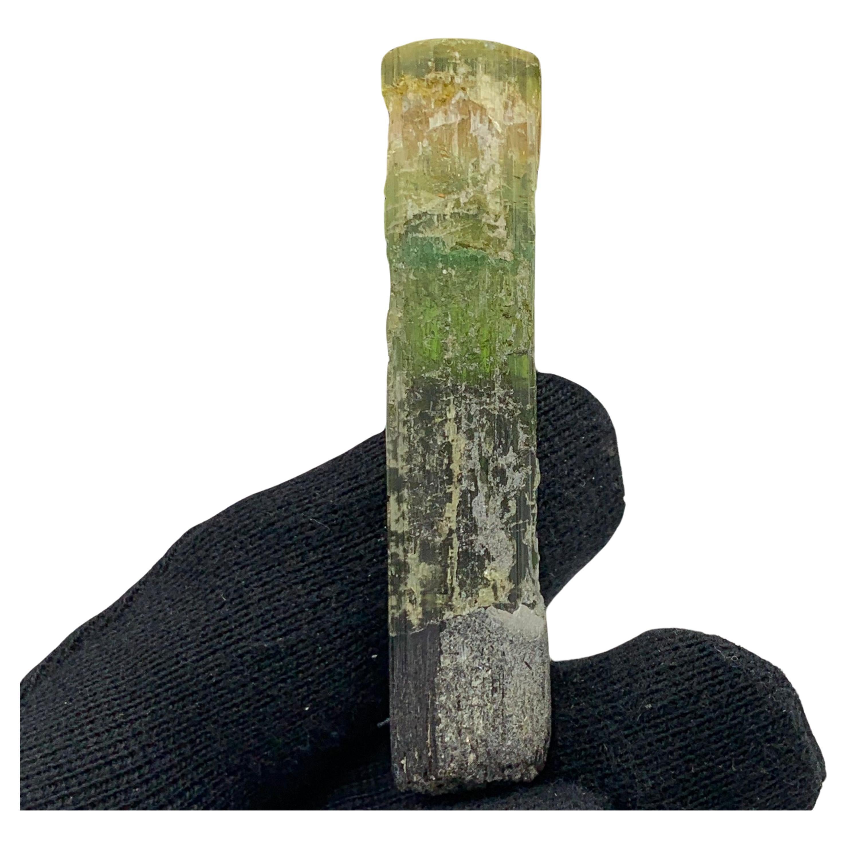 22.94 Gram Pretty Tri Color Tourmaline Crystal From Paprook, Afghanistan For Sale
