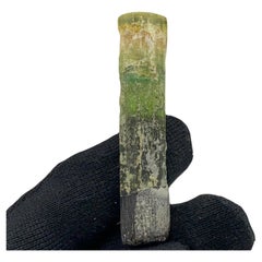 Joli cristal de tourmaline tricolore de Paprook, Afghanistan, 22,94 grammes