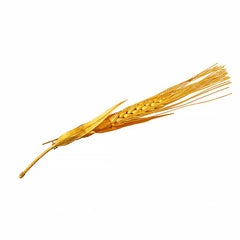 22K Gold Handcrafted Spike Brooche