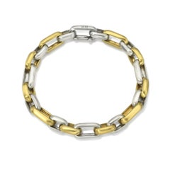 David Tishbi 22K Gold & Silber Alternate Links Kette Armband