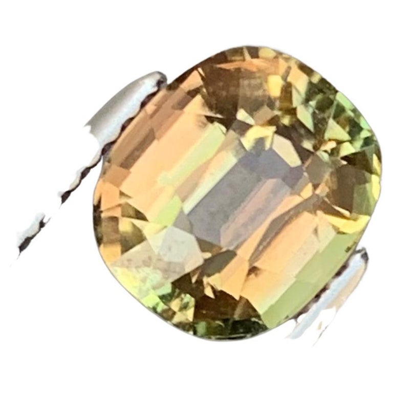 2.30 Carat Loose Bicolor Tourmaline Cushion Oval Shape For Ring Jewelry For  Sale at 1stDibs