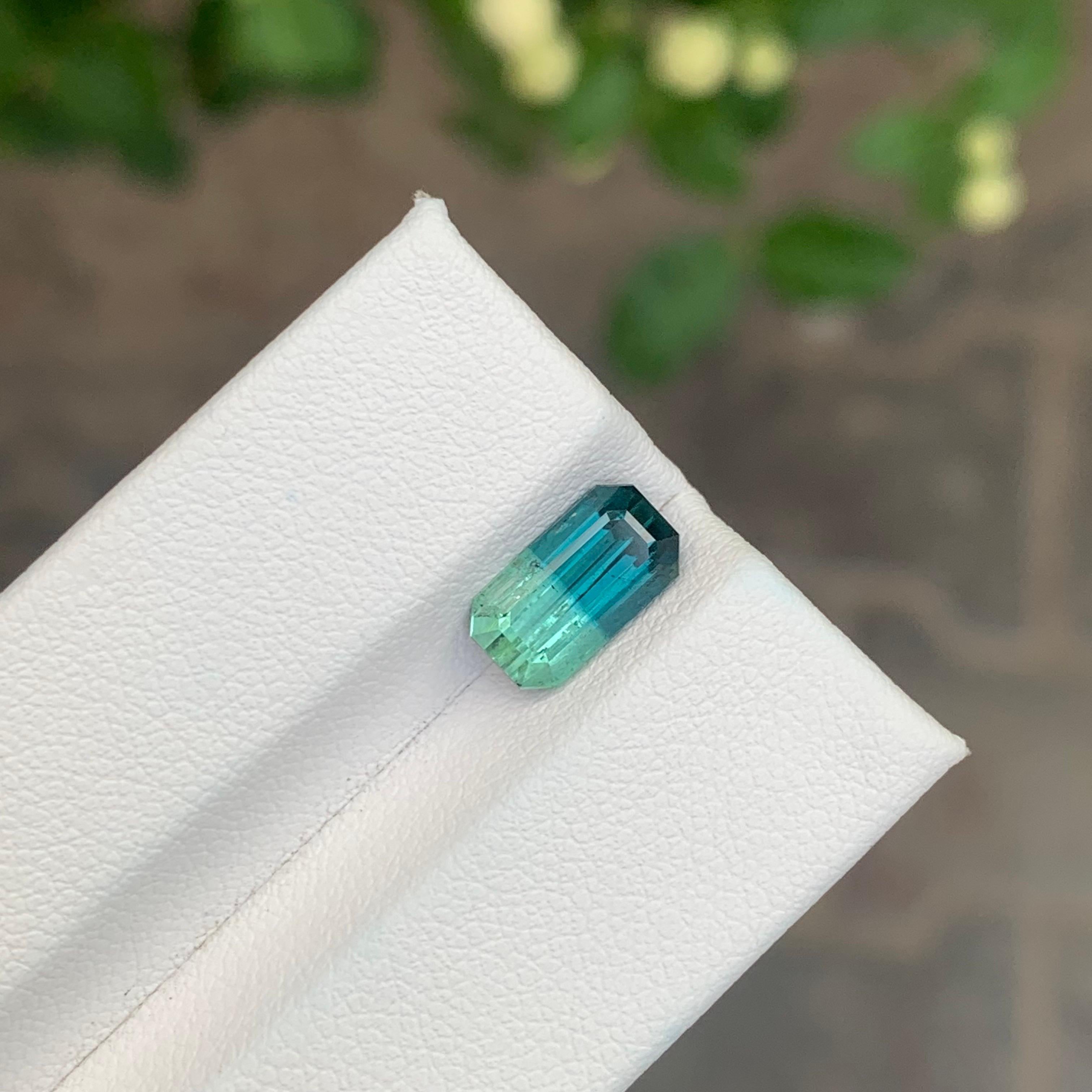 Faceted Bi Colour Tourmaline

Weight: 2.30 Carat
Dimension: 9.9 x 5.5 x 4.7 Mm
Colour: Indicolite Blue And Mint Green 
Origin: Afghanistan
Treatment: Non
Certificate: On Customer Demand


Tourmaline is a captivating gemstone known for its remarkable