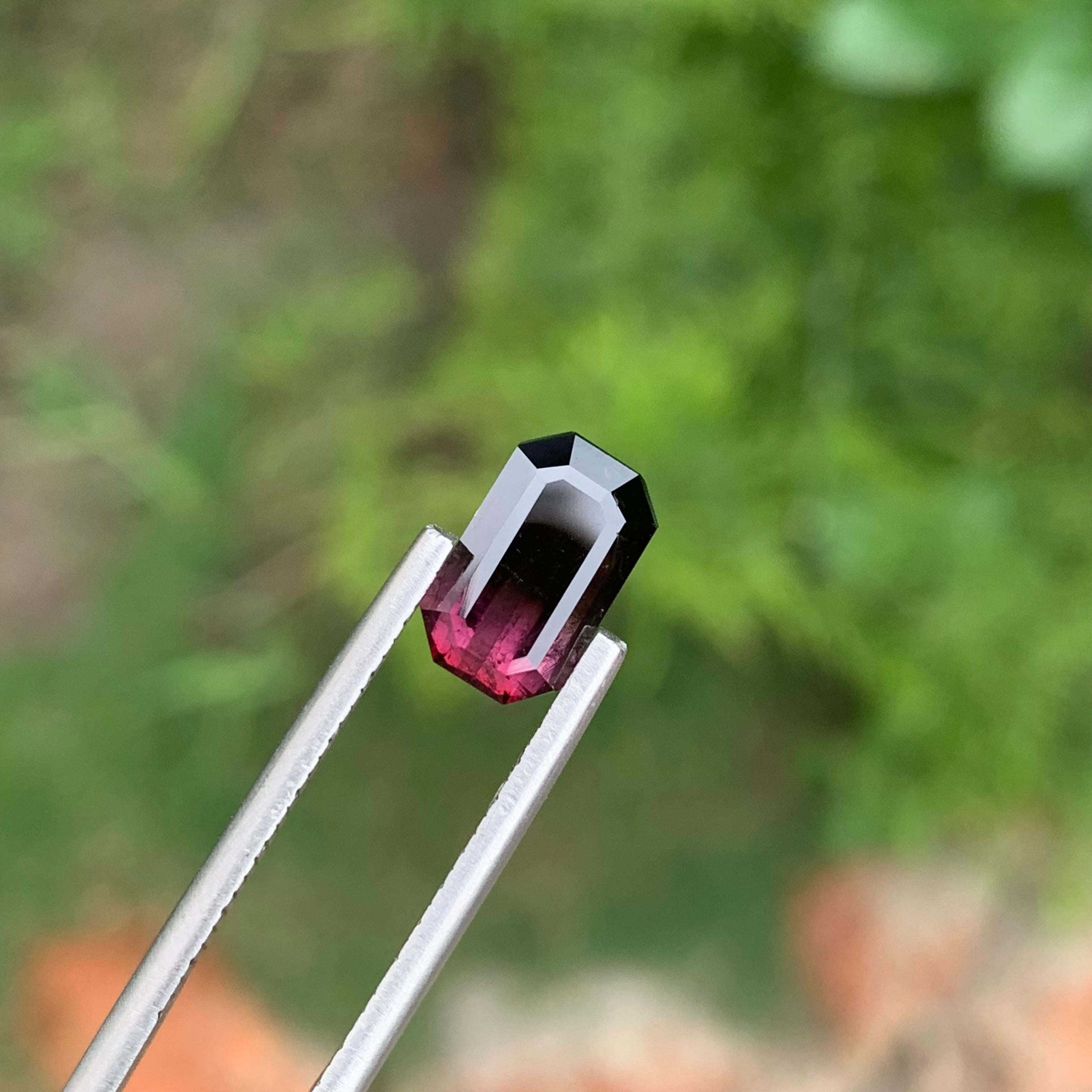 Tormalina bi-colore sfusa

Peso: 2,30 Carati
Dimensioni: 10 x 6,1 x 4,4 mm
Colore: Nero e rosa 
Origine: Afghanistan
Certificato: Su richiesta
Trattamento: Non
Forma: Smeraldo 


La tormalina è una gemma affascinante nota per la sua notevole varietà