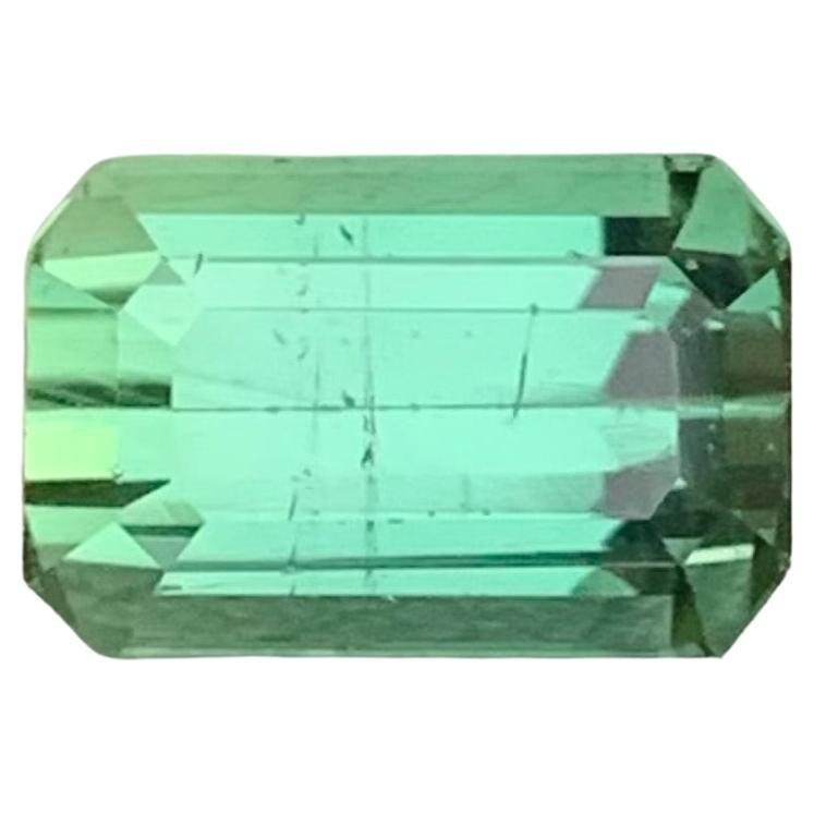 2.30 Carat Natural Loose Mint Tourmaline Emerald Shape Gem