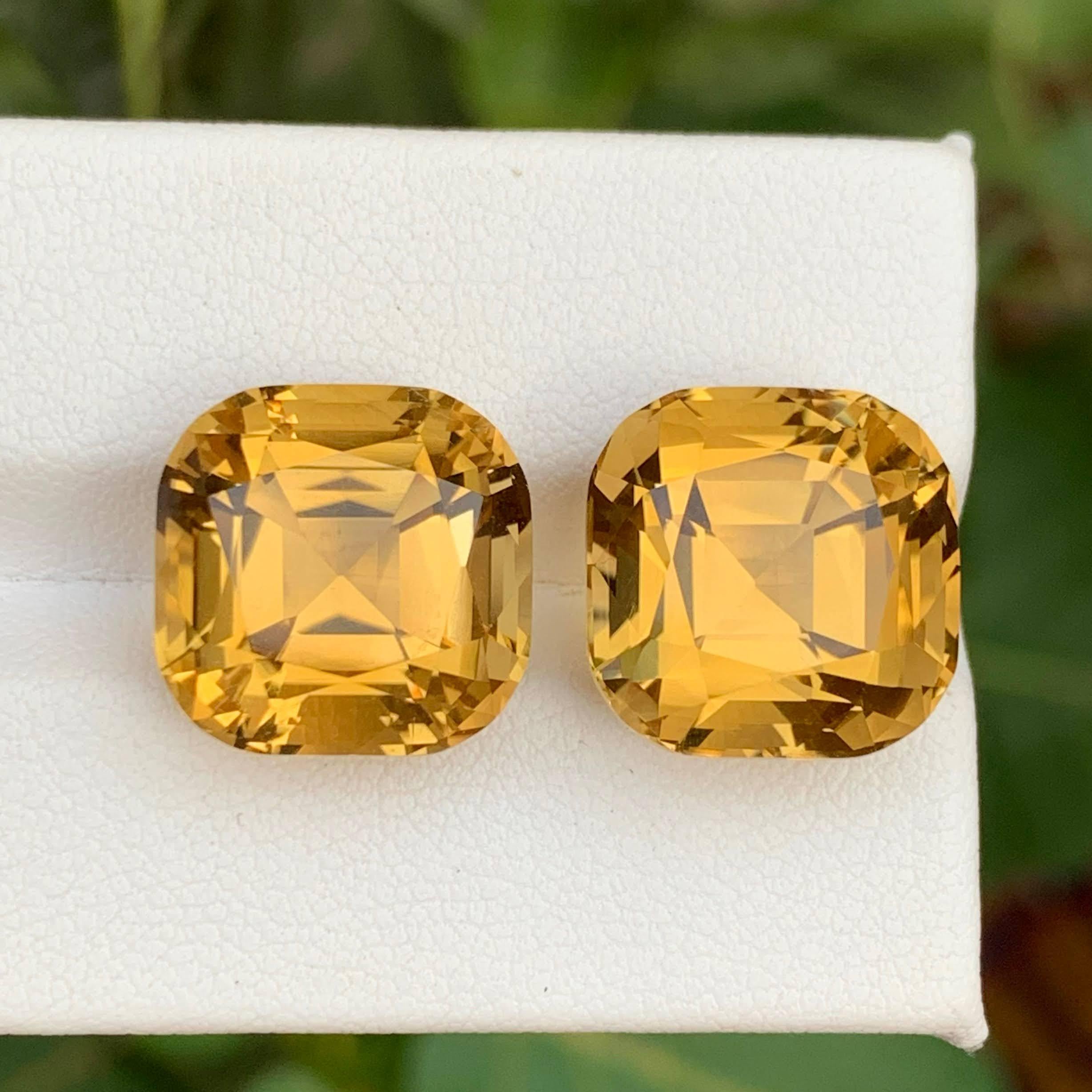 Peso 23,05 carati 
Dimensioni 13,4x13,4x10,9mm
Trattamento Nessuno 
Origine Brasile 
Clarity Loup Clean 
Forma taglio cuscino 





Questa coppia di citrini gialli dorati sfusi da 23,05 carati presenta due radiose gemme con taglio a cuscino che