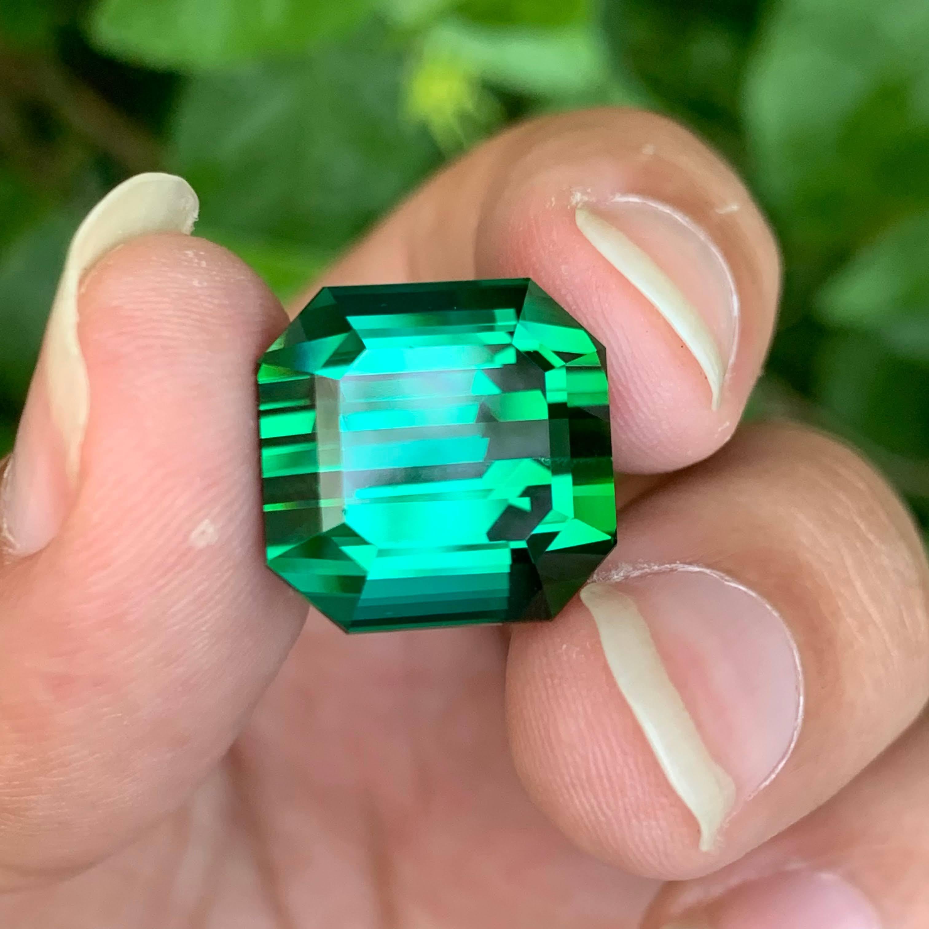 Weight 23.15 carat
Dimensions 15.2x15x12mm
Treatment None
Origin Afghan
Clarity Eye Clean
Shape Octagon
Cut Asscher
NA



This 23.15-carat natural Tourmaline is a rare and captivating gemstone, displaying a unique greenish-blue hue that shifts