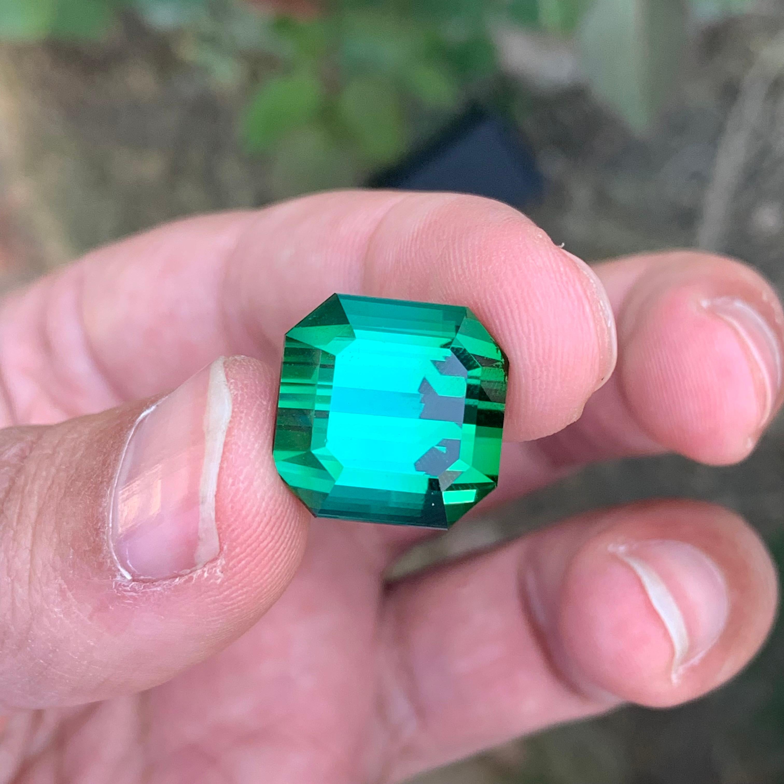 Pierre précieuse tourmaline verte naturelle taille octogonale non sertie de 23,15 carats en vente 4