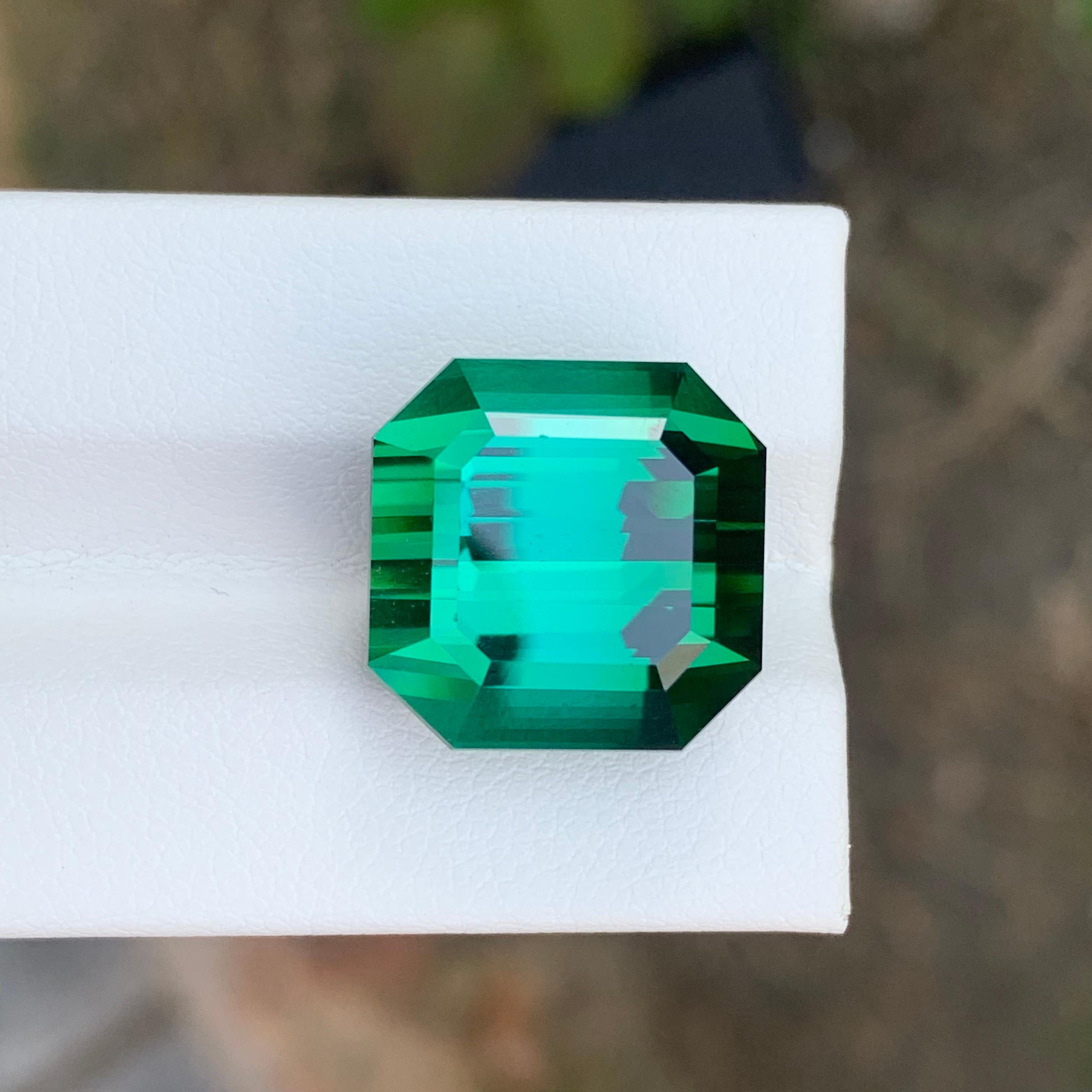 Pierre précieuse tourmaline verte naturelle taille octogonale non sertie de 23,15 carats en vente 5