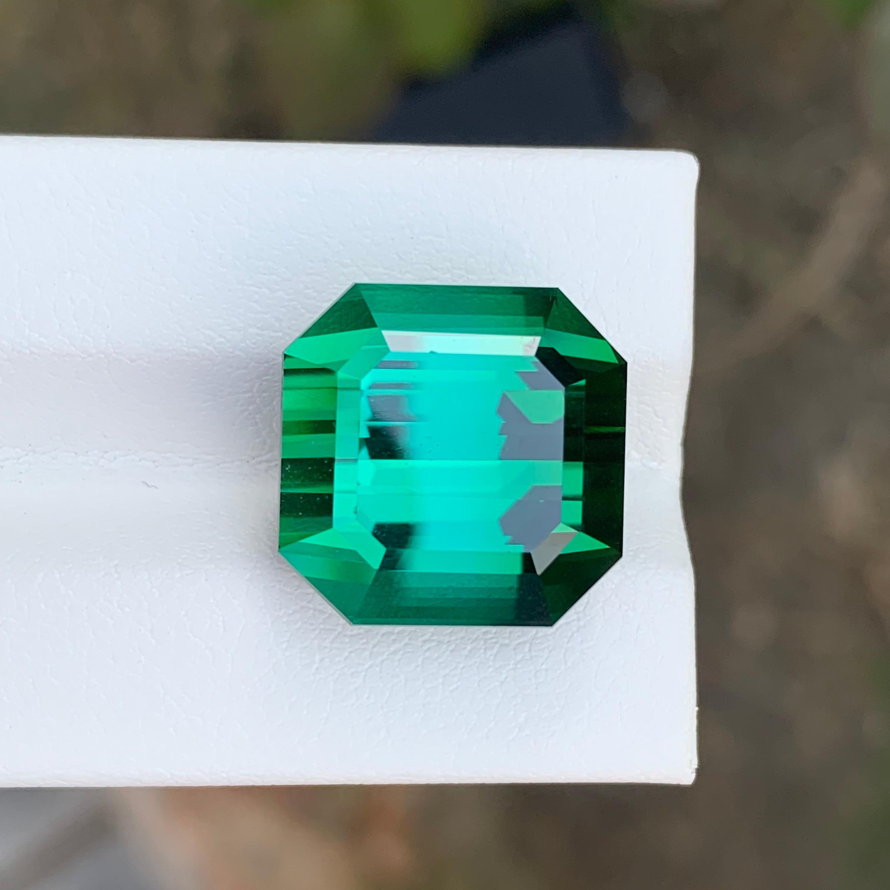 Pierre précieuse tourmaline verte naturelle taille octogonale non sertie de 23,15 carats en vente 6