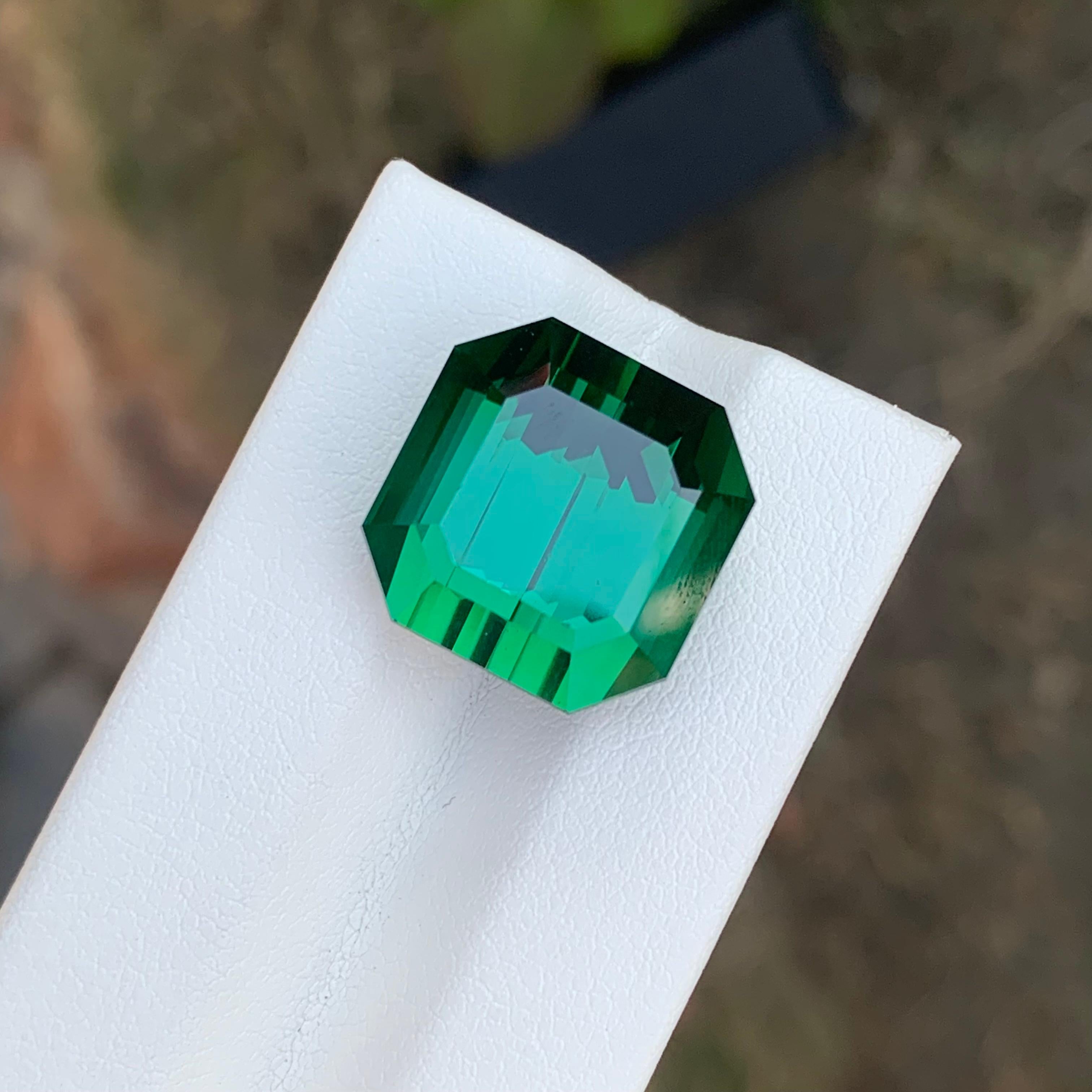 Pierre précieuse tourmaline verte naturelle taille octogonale non sertie de 23,15 carats en vente 7