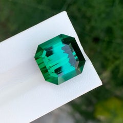 23.15 Carat Natural Loose Green Tourmaline Octagon Cut Gemstone
