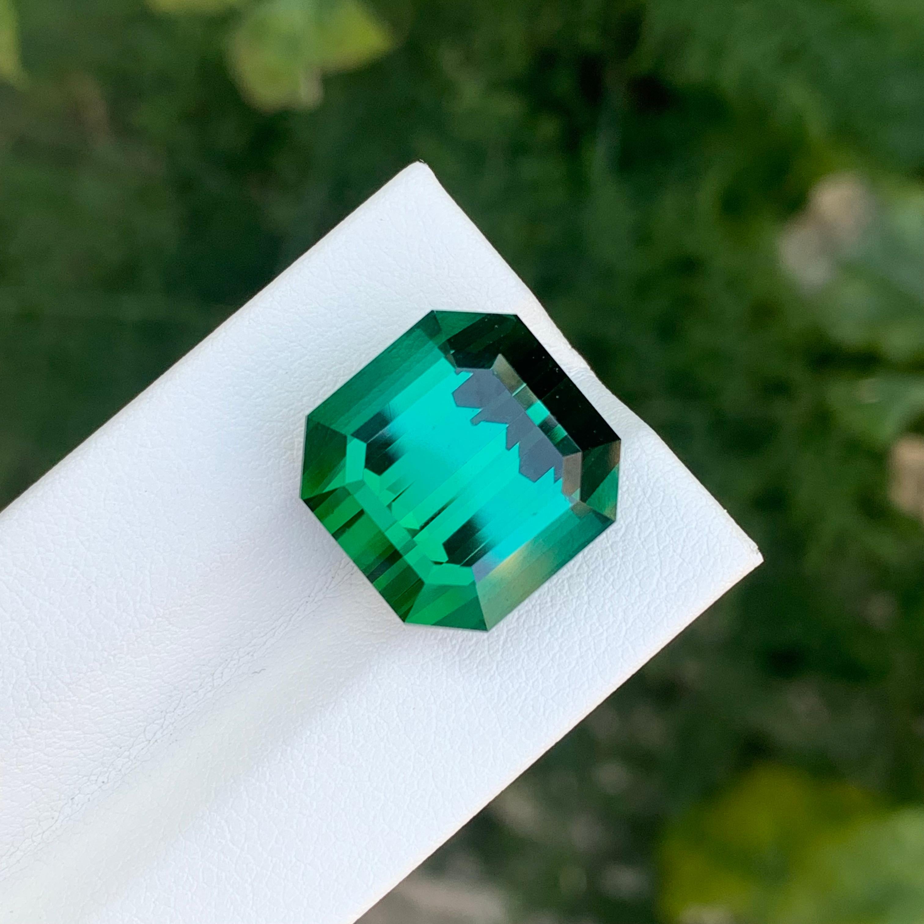 Taille octogone Pierre précieuse tourmaline verte naturelle taille octogonale non sertie de 23,15 carats en vente