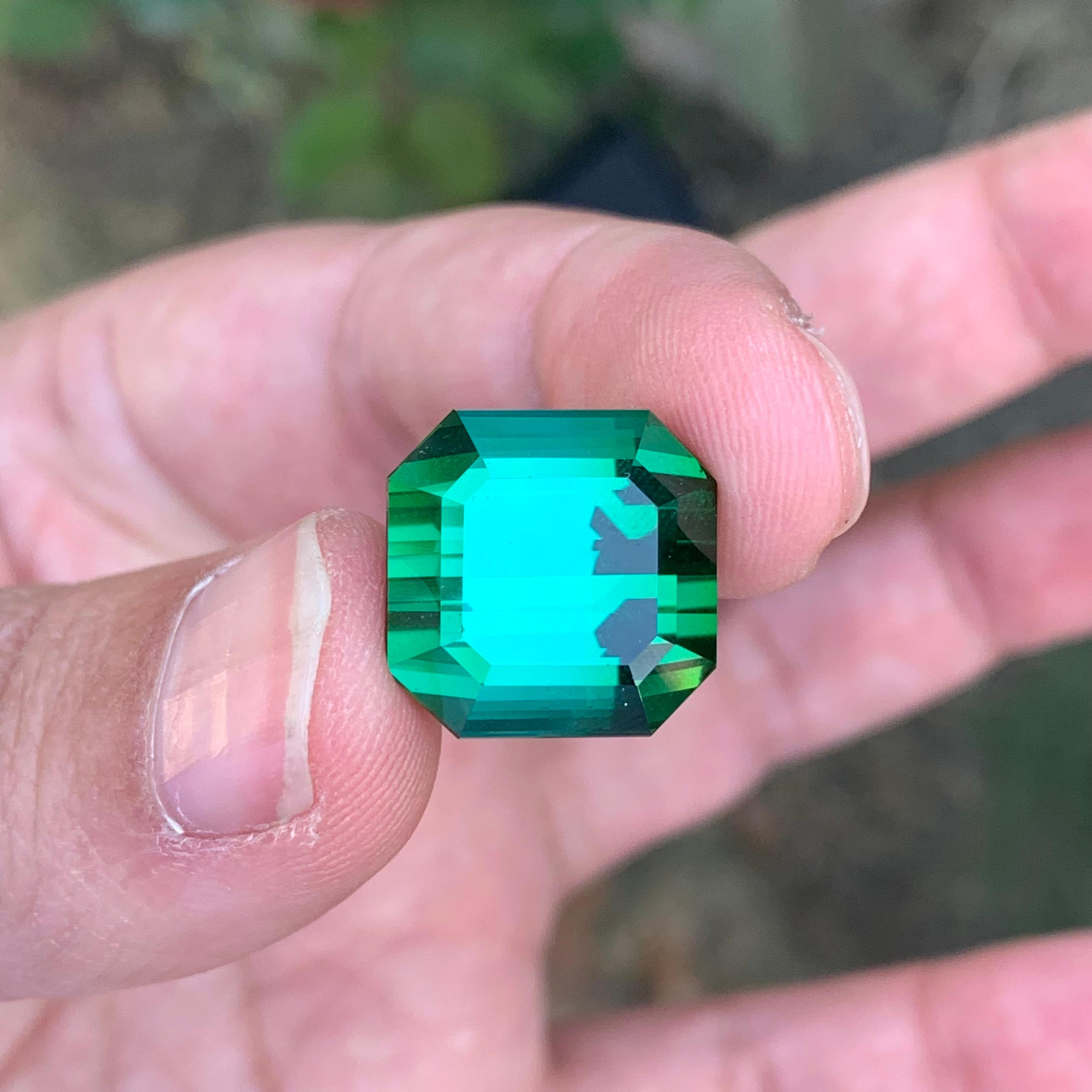Pierre précieuse tourmaline verte naturelle taille octogonale non sertie de 23,15 carats Neuf - En vente à Peshawar, PK