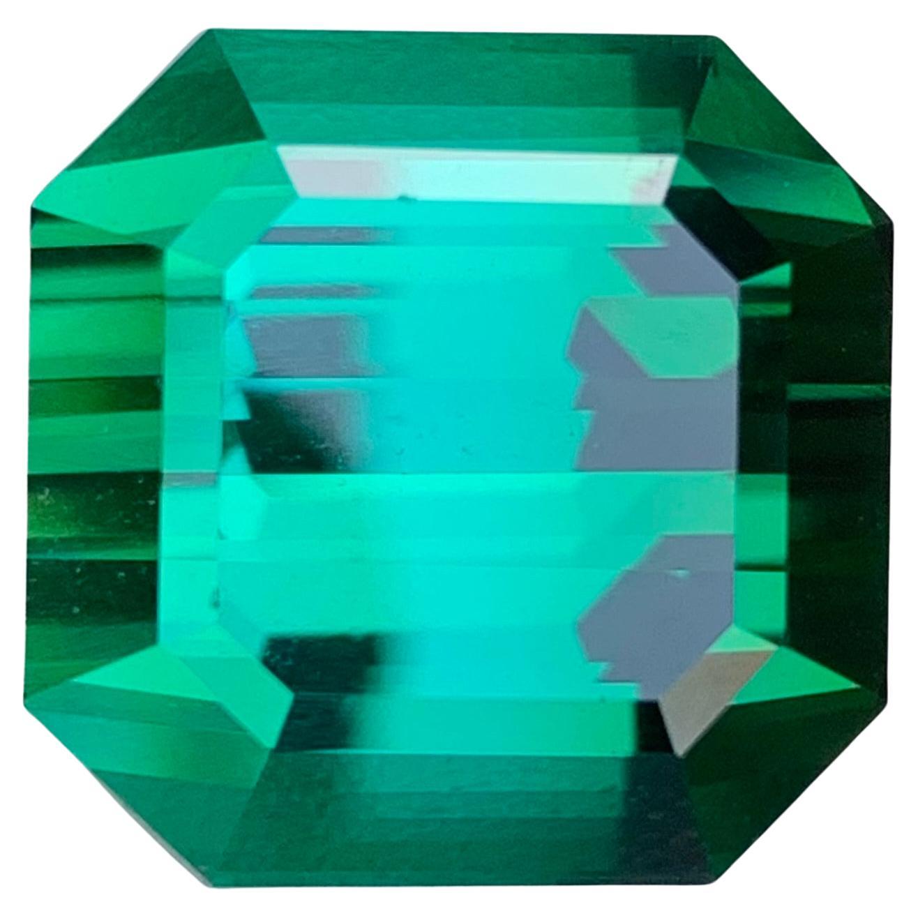 Pierre précieuse tourmaline verte naturelle taille octogonale non sertie de 23,15 carats en vente