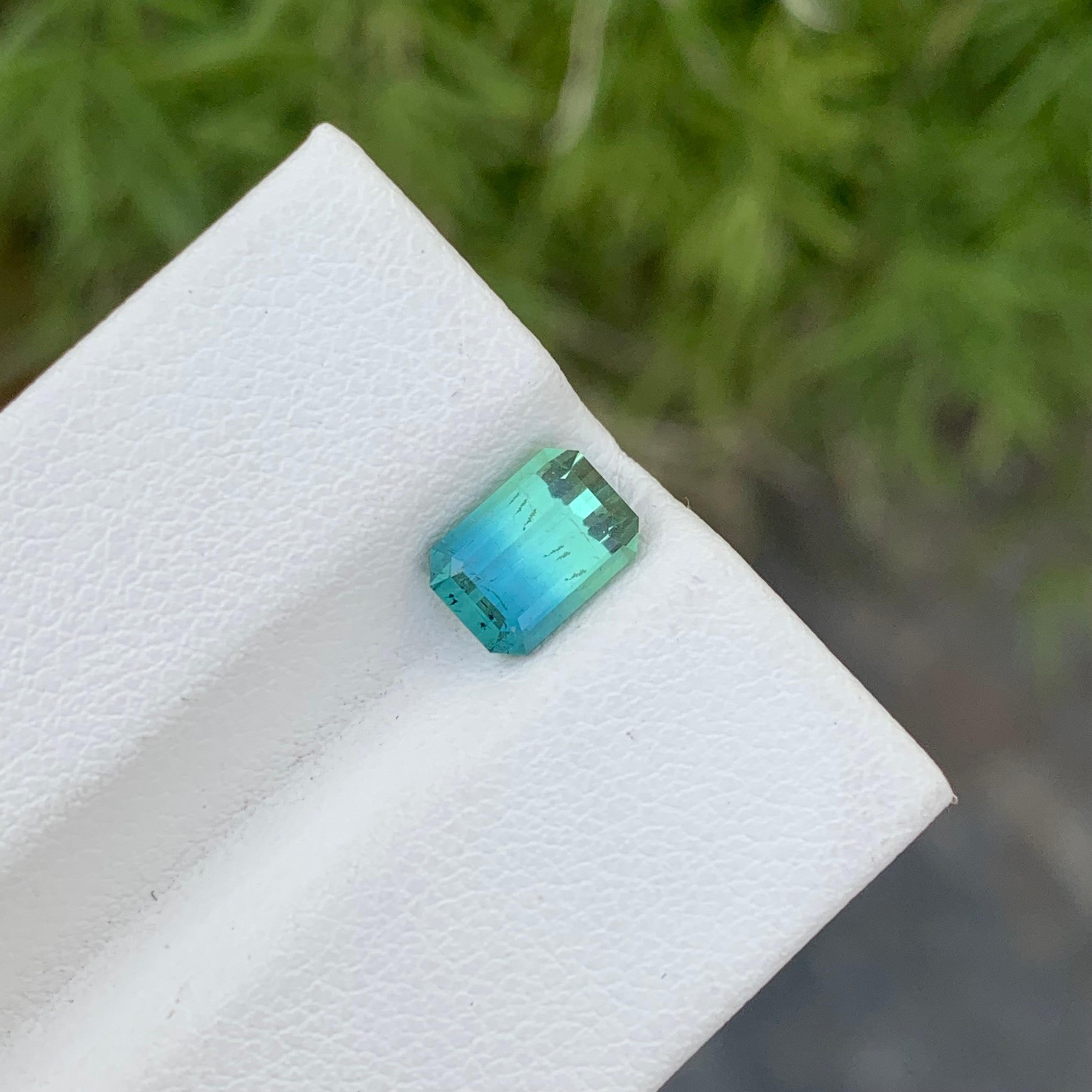 Loose Bi Colour Tourmaline
Weight: 2.35 Carats
Dimension: 8.3 x 6.1 x 5.5 Mm
Colour: Mint And Aqua Blue
Origin: Afghanistan
Certificate: On Demand
Treatment: Non

Tourmaline is a captivating gemstone known for its remarkable variety of colors,
