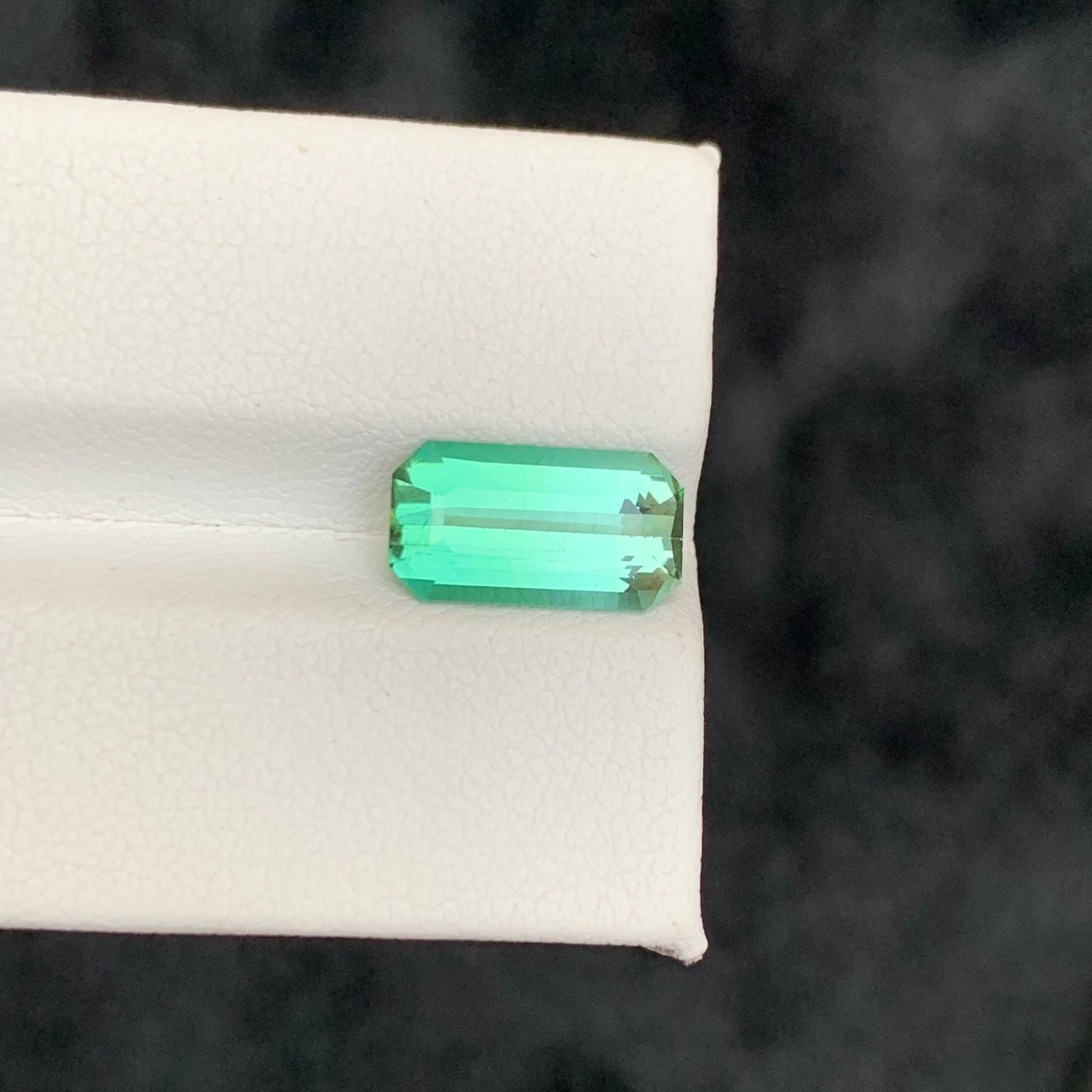 Poids 2,35 carats
Dimensions 10.1x4.9x3.9 mm
Traitement Aucun
Origine afghane 
Clarté VVS 
Forme Coupe Émeraude 





Cette tourmaline verte lagon naturelle en vrac de 2,35 carats présente une taille émeraude captivante, mettant en valeur sa