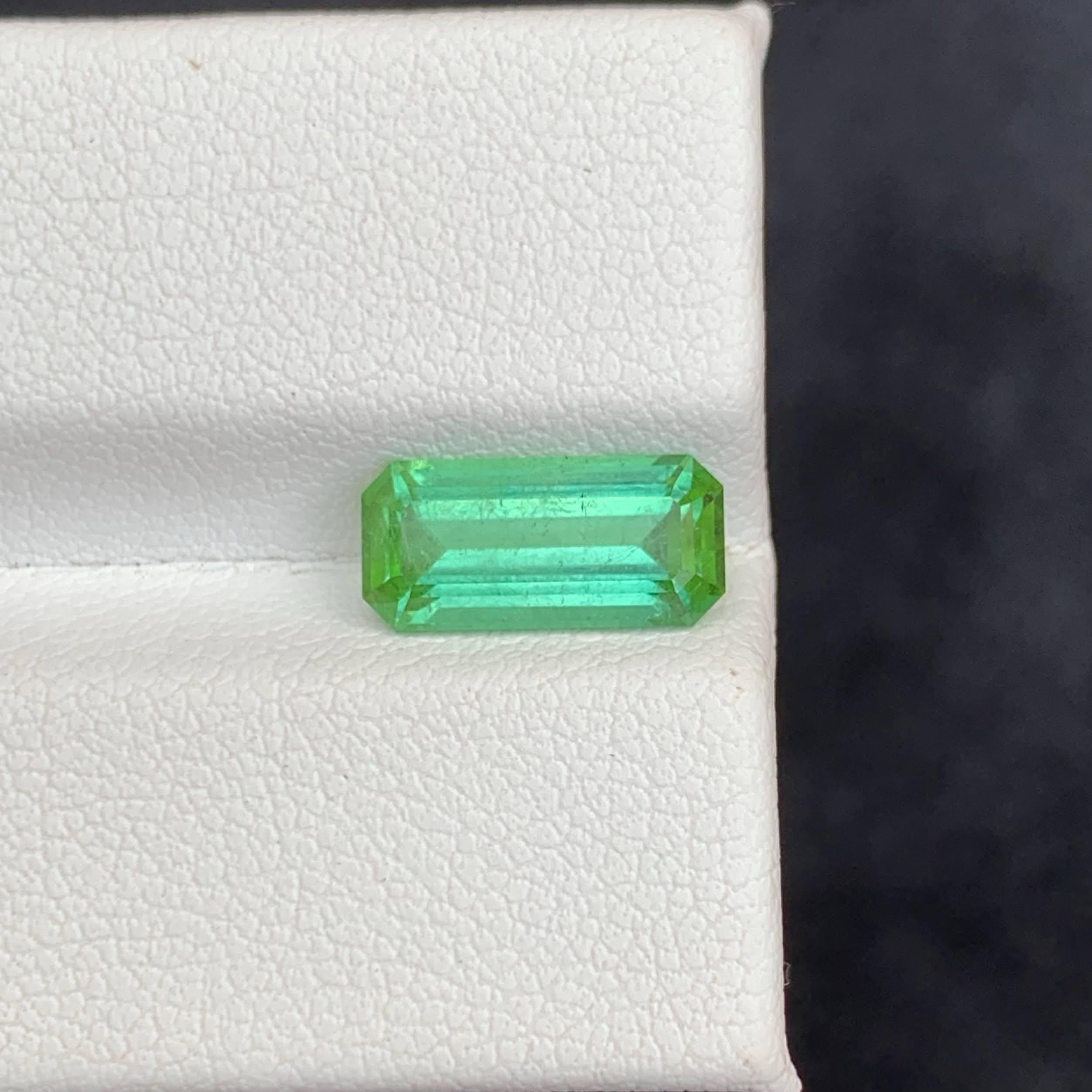 Poids 2,35 carats 
Dimensions 11.4x5.4x4.3mm
Traitement Aucun 
Origine afghane 
Clarity SI
Forme Coupe Émeraude 





Cette tourmaline verte menthe en vrac de 2,35 carats présente une teinte rafraîchissante et élégante qui respire le calme et la