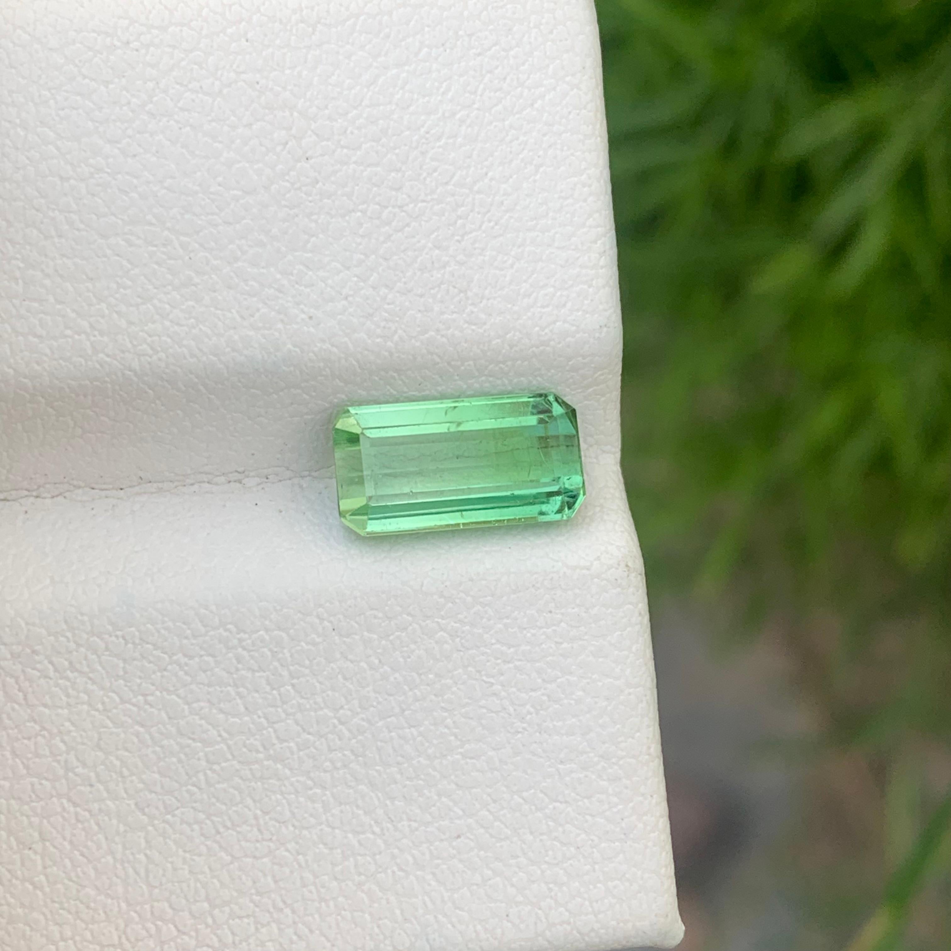 Loose Mint Green Tourmaline
Weight: 2.35 Carats
Dimension: 10.6 x 5.6 x 4 Mm
Colour : Mint Green
Origin: Afghanistan
Shape: Emerald
Certificate: On Demand
Treatment: Non

Mint tourmaline, a delicate and soothing variety within the tourmaline family,