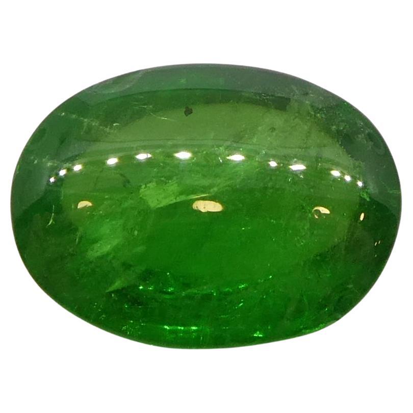 2.35 Karat ovaler Cabochon Grüner Tsavorit Granat aus Kenia, unerhitzt im Angebot 3