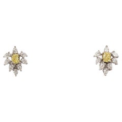 2.36 Cts Earrings Studded with Fancy Yellow Diamond in 18K Gold