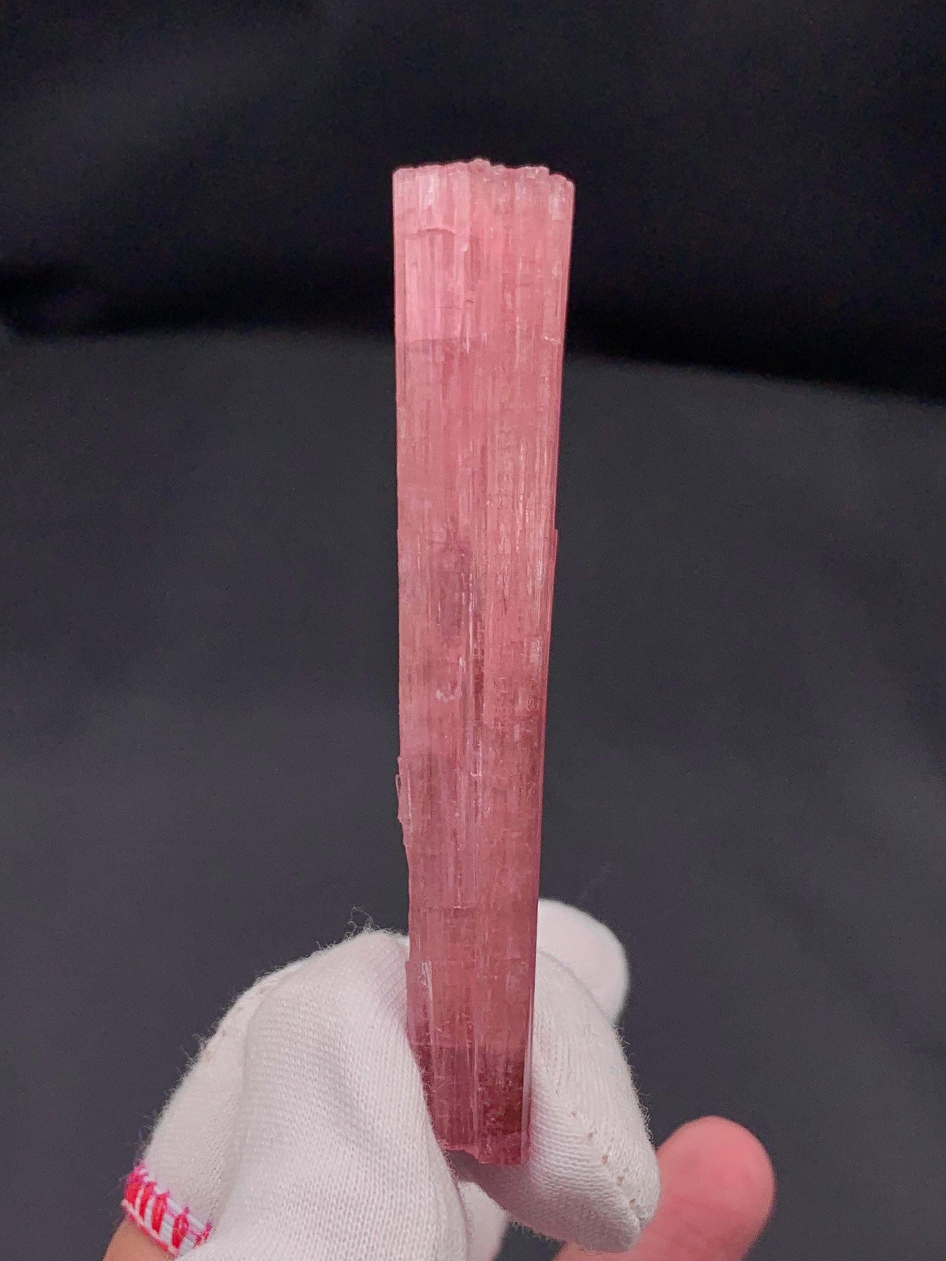 INFORMAZIONI SULLA PRODUZIONE:

Tipo di campione: Cristallo naturale di tormalina rosa
Peso: 23,67 grammi
Dimensioni: 8,3 x 1,4 x 1,3 cm
Origine: Miniera di Pachigram, Nuristan Afghanistan
Trattamento: Nessuno

DESCRIZIONE:

Questo squisito