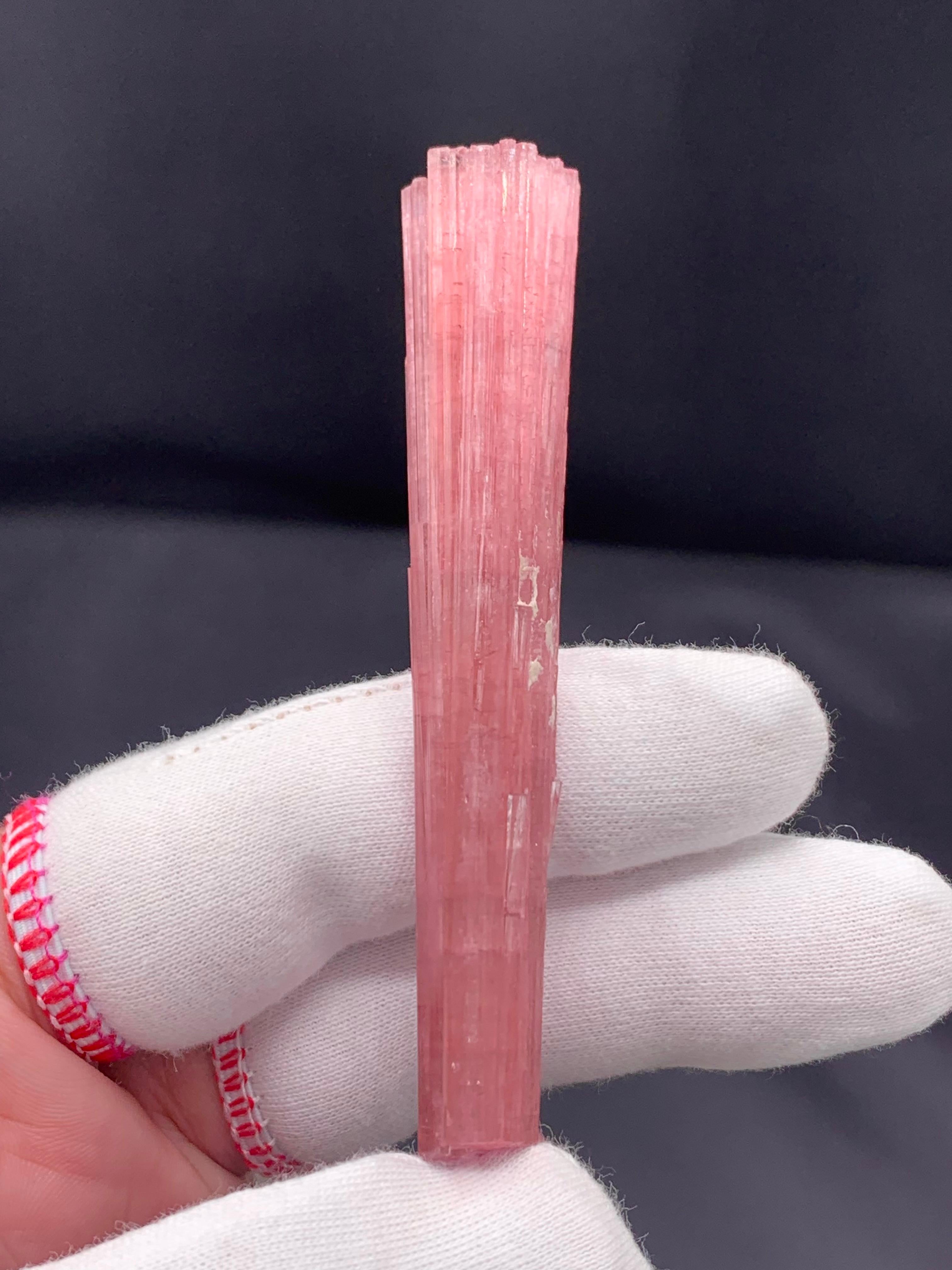 Afghano 23,67 grammi di adorabile cristallo di tormalina rosa dalla miniera di Pachigram, Afghanistan in vendita