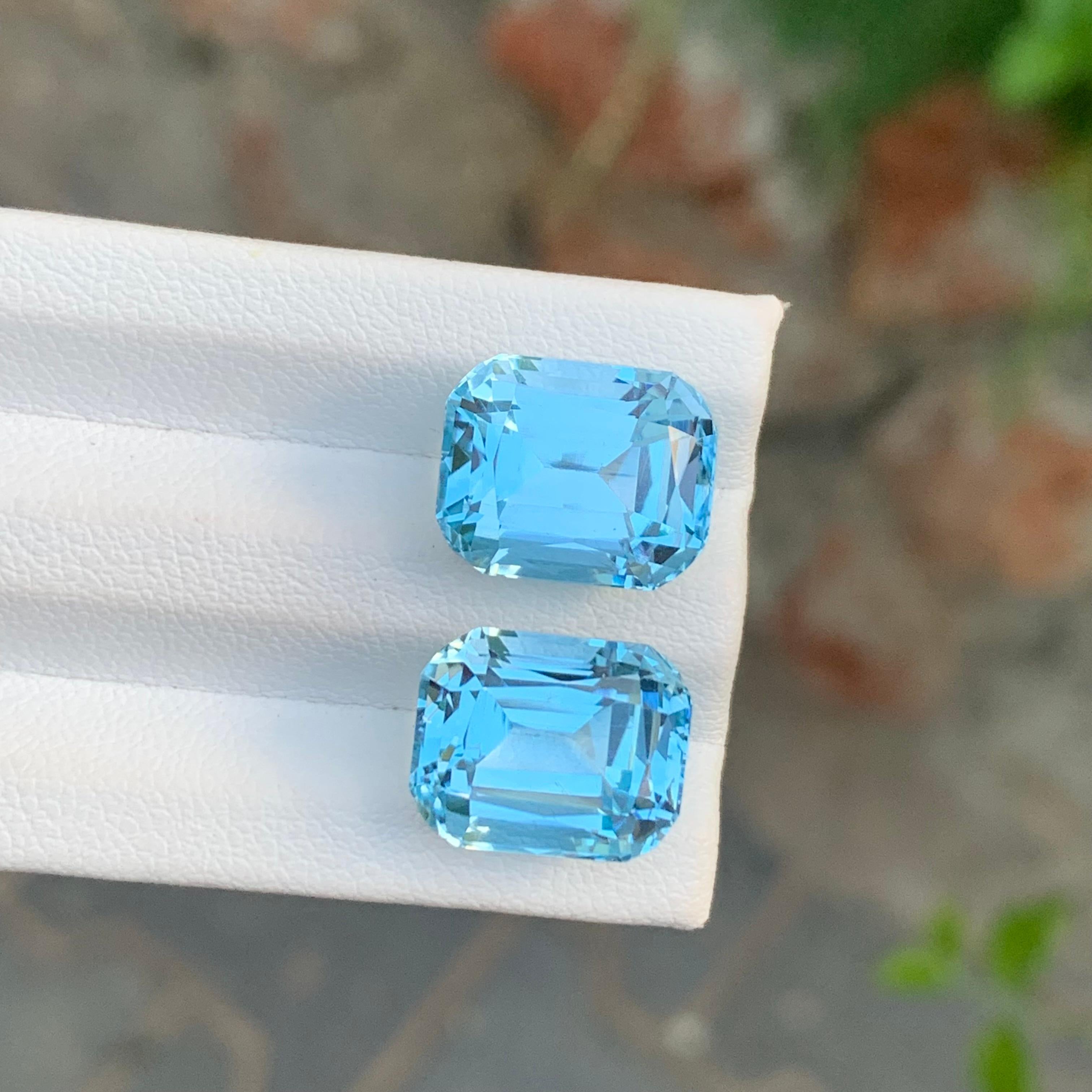 Taglio cuscino 23,75 carati di topazio blu sfaccettato Coppia di gemme a forma di cuscino per orecchini in vendita