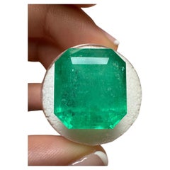 23.85 Karat 17x15.6 großer loser kolumbianischer Smaragd im Smaragdschliff Muzo Grüner Mai