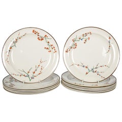 Ceramic Dinner Plates