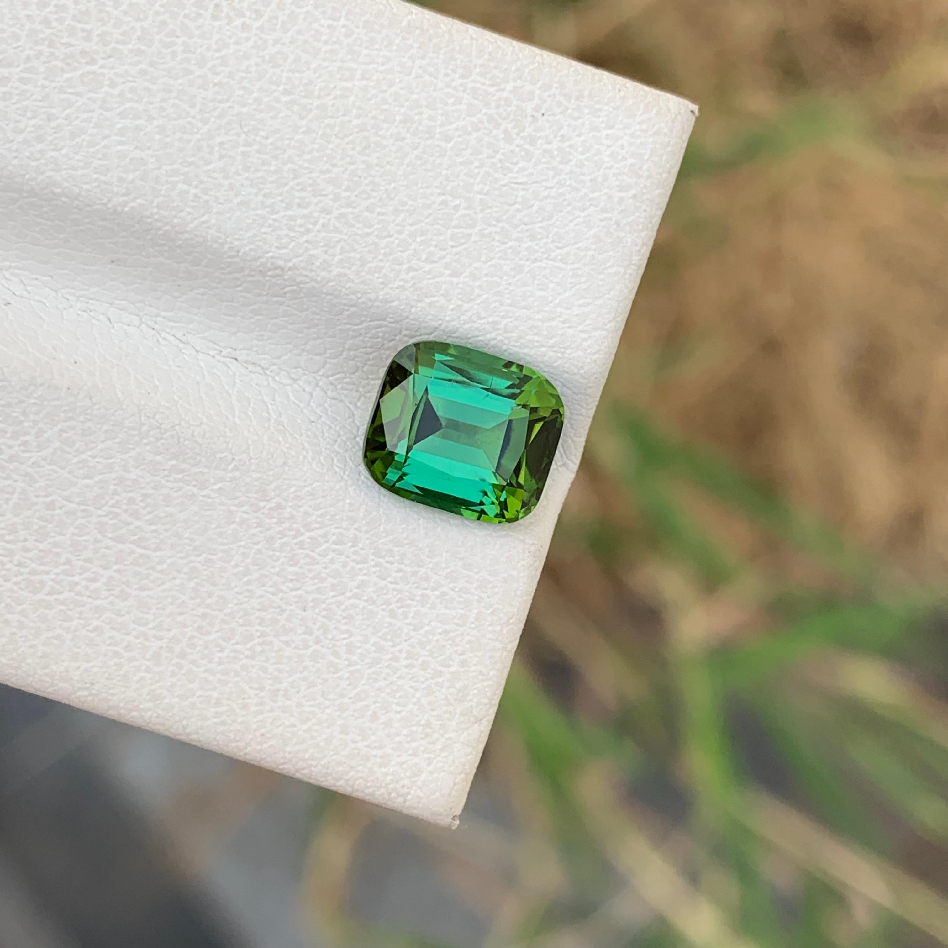 Loser Blauer Grüner Turmalin 

Gewicht: 2,40 Karat
Abmessung: 8.3 x 7.3 x 5.2 Mm 
Die Form: Kissen
Herkunft: Afghanistan
Zertifikat: Auf Anfrage
Behandlung: Nicht


Der Turmalin ist ein faszinierender Edelstein, der für seine bemerkenswerte