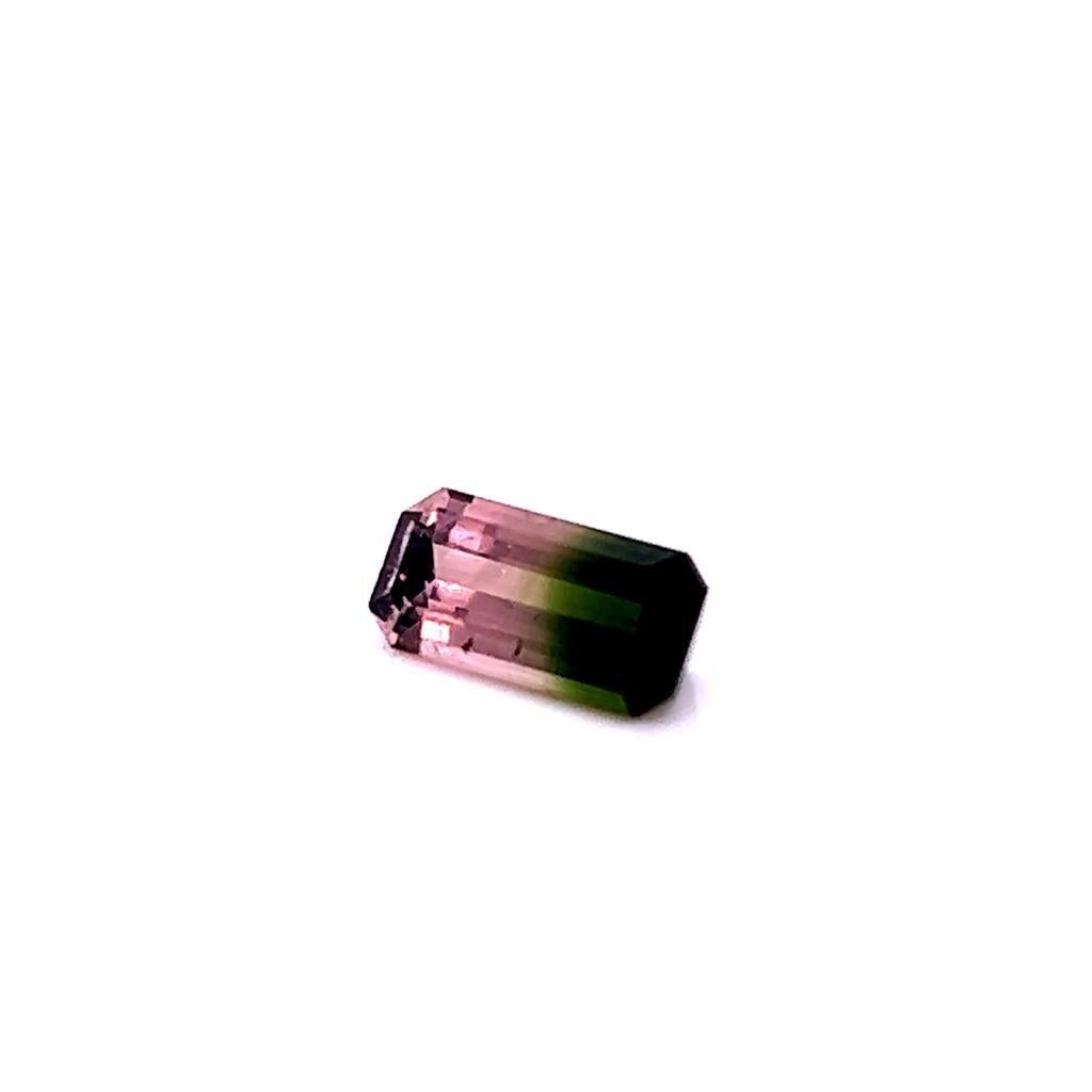 Tourmaline bicolore de 2,40 carats, taille émeraude.

Cette exquise tourmaline bicolore de taille émeraude pèse 2,4 carats et mesure 10,8 mm sur 5,4 mm sur 4,5 mm.

Unique et captivante, c'est une pierre qui peut parler d'elle-même, aussi bien dans