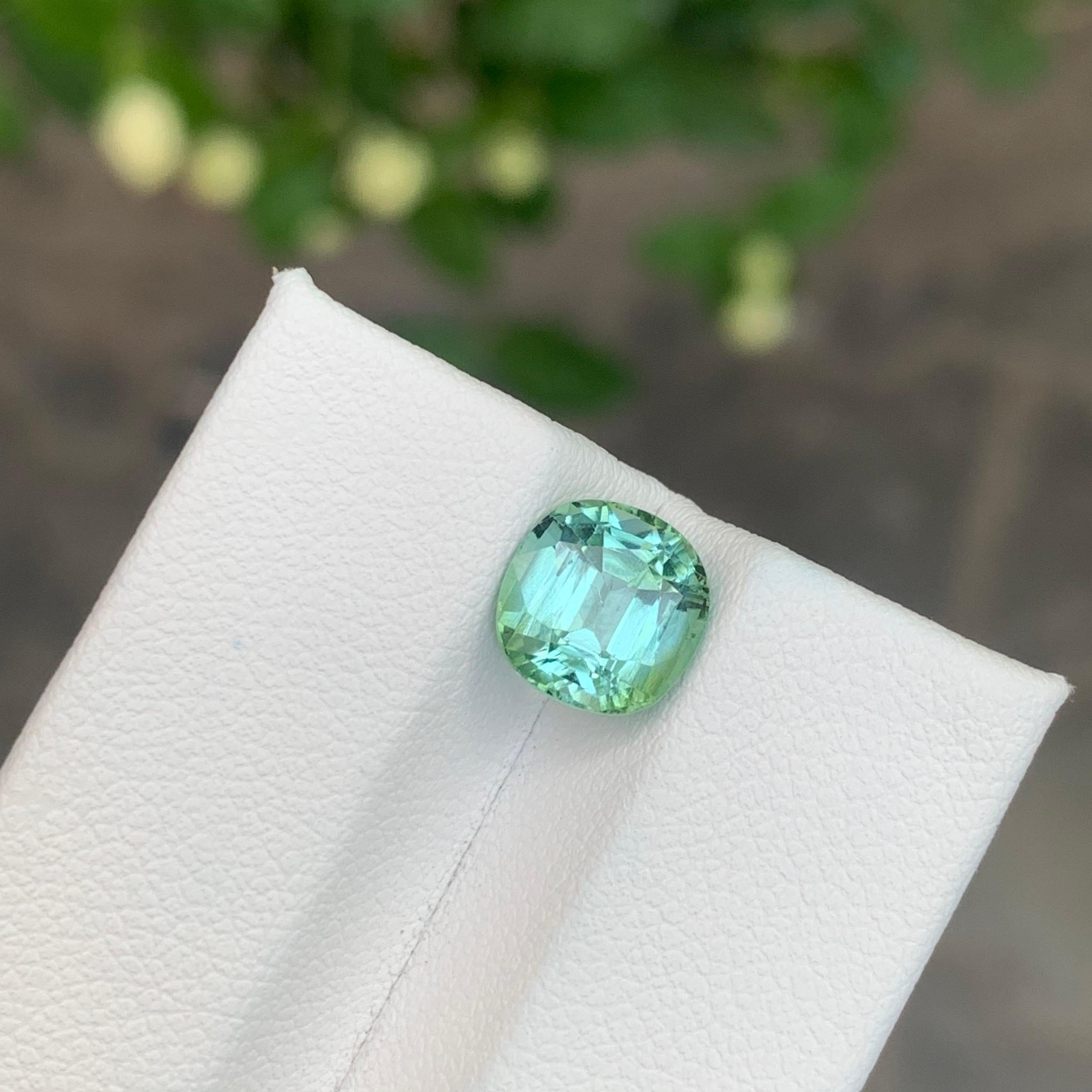Tourmaline menthe à facettes

Poids : 2,40 carats
Dimension : 8 x 7,8 x 5,4 mm
Couleur : Vert menthe 
Origine : Afghanistan
Traitement : Non
Certificat : Sur demande du client


La tourmaline est une pierre précieuse captivante connue pour sa