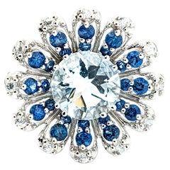 2.40ct Aquamarine & .60ctw Blue Sapphire Ring In White Gold