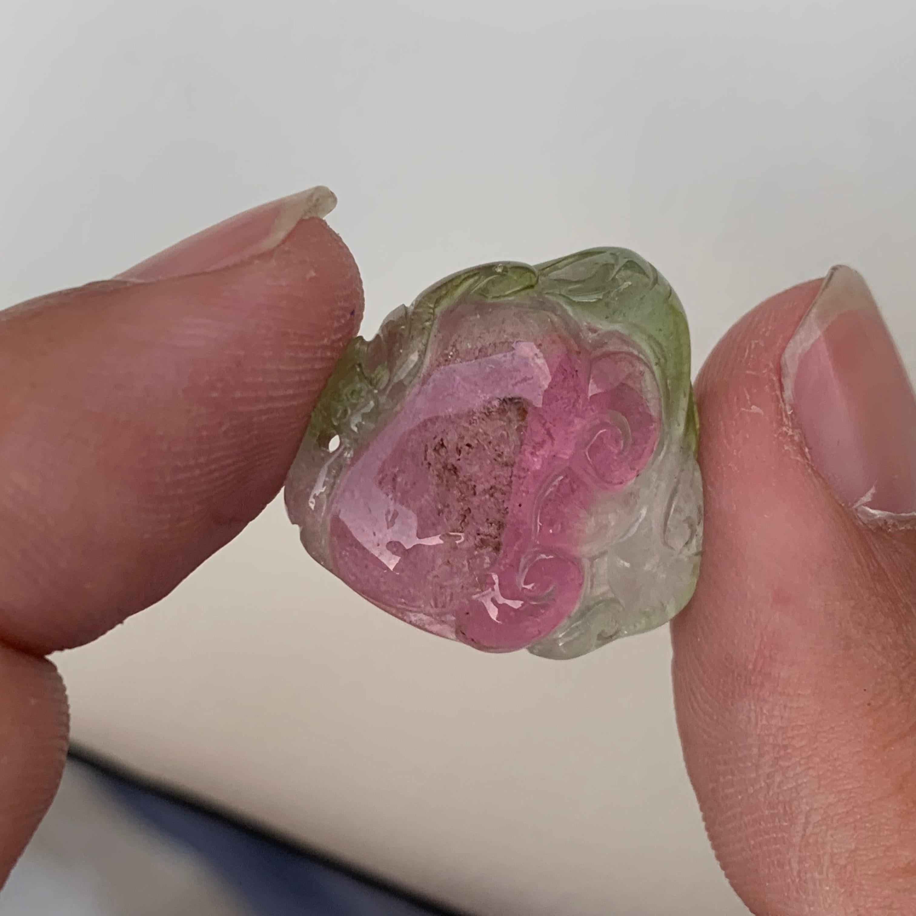 Lovely Loose Water Melon Color Tourmaline Carving From Africa 
WEIGHT: 24.10 Carat
DIMENSIONS: 2.1 x 1.8 x 0.7 Cm
ORIGIN: Madagascar, Africa 
TREATMENT : None

Tourmaline is an extremely popular gemstone; the name Tourmaline is derived from