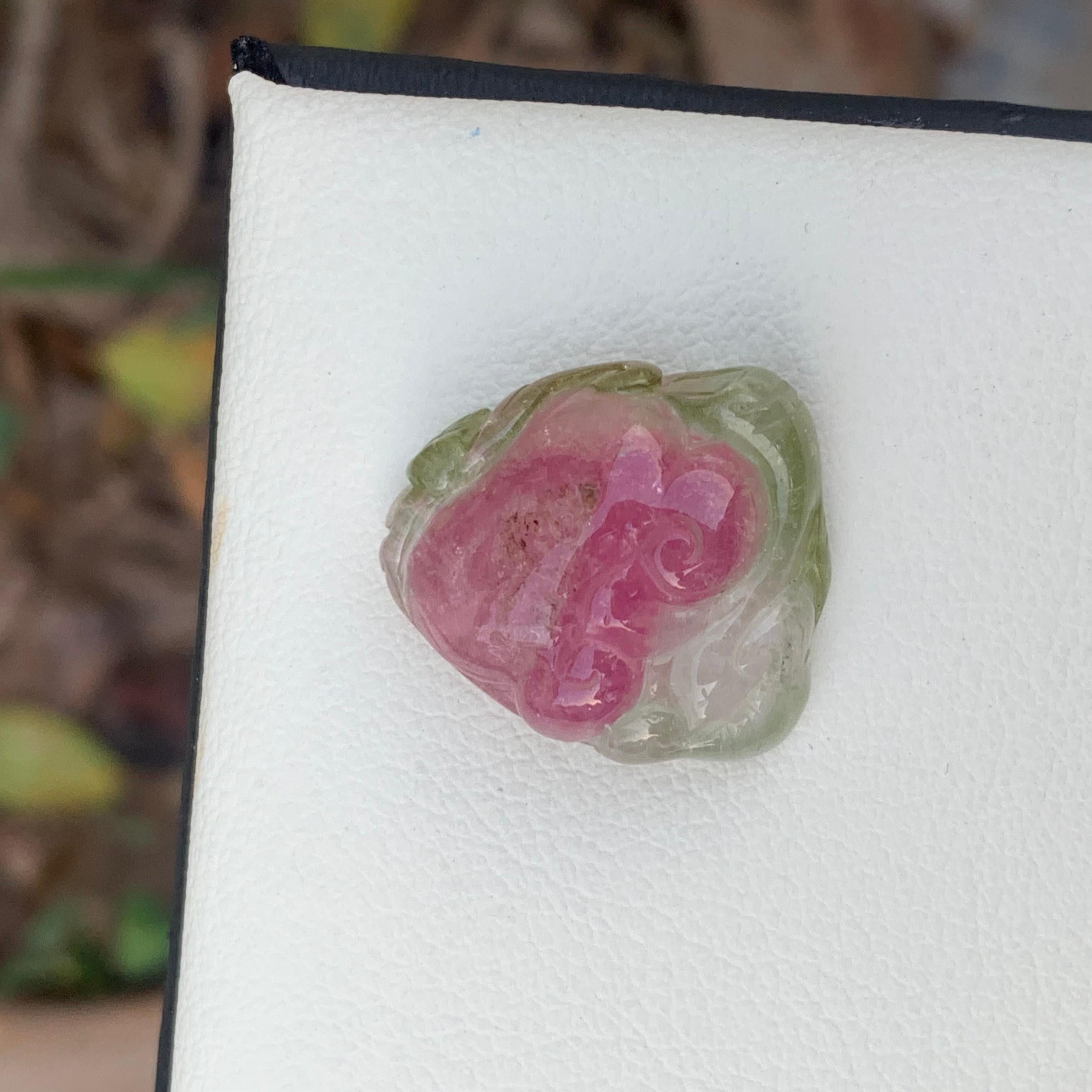 18th Century and Earlier 24.10 Carat Lovely Loose Water Melon Color Tourmaline Carving from Africa For Sale