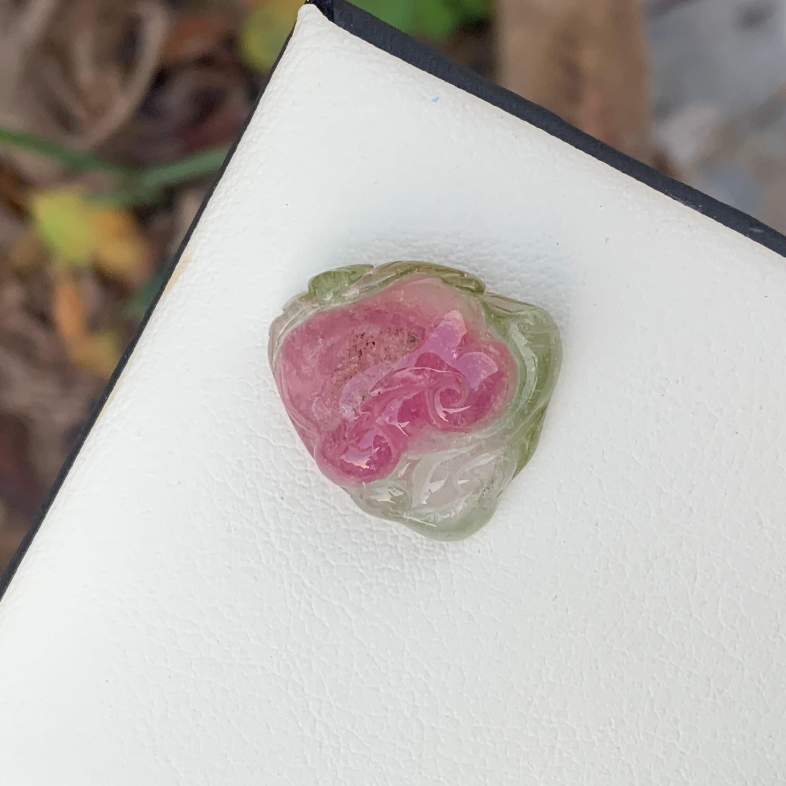 Jolie tourmaline melon d'eau non sertie de 24,10 carats sculptée en Afrique en vente 1