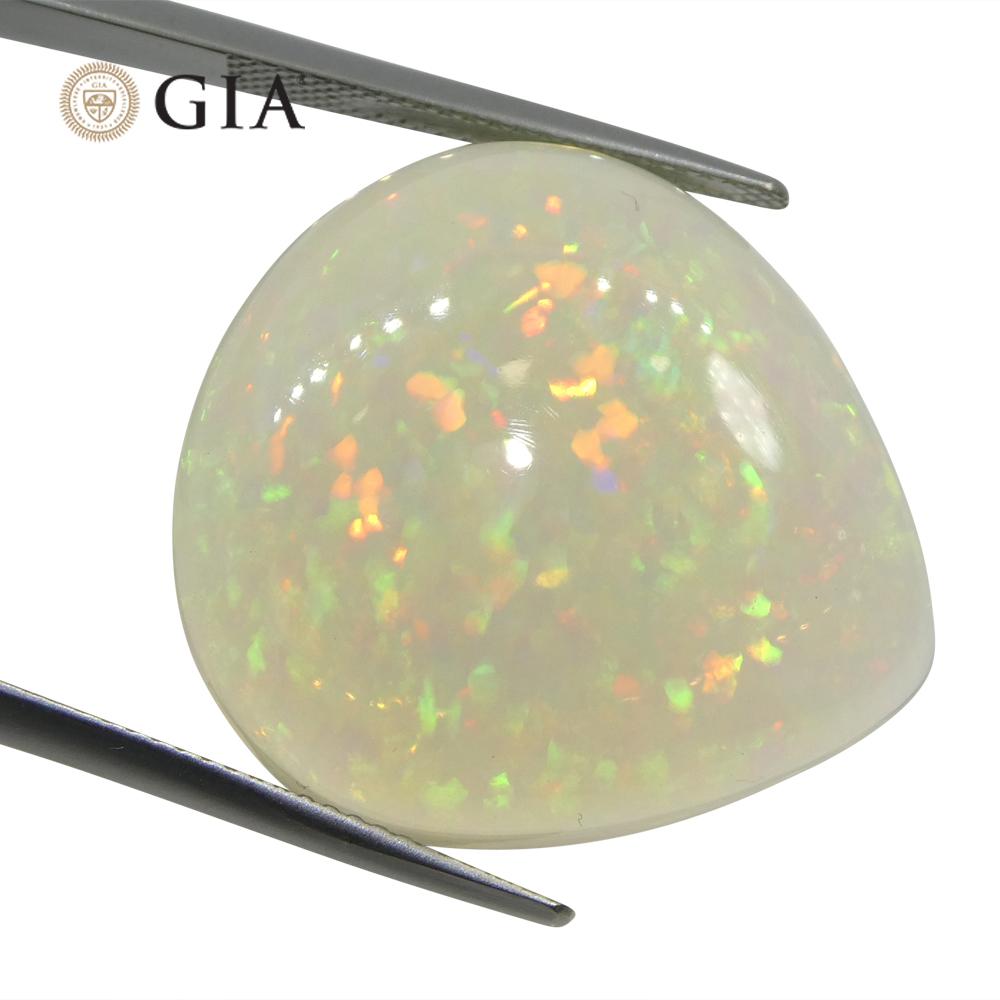 24.28ct Pear White Opal GIA Certified Ethiopia 8