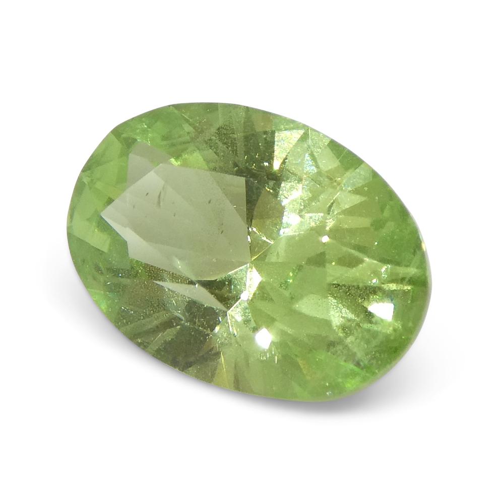 2.43ct Oval Green Mint Garnet from Tanzania For Sale 5