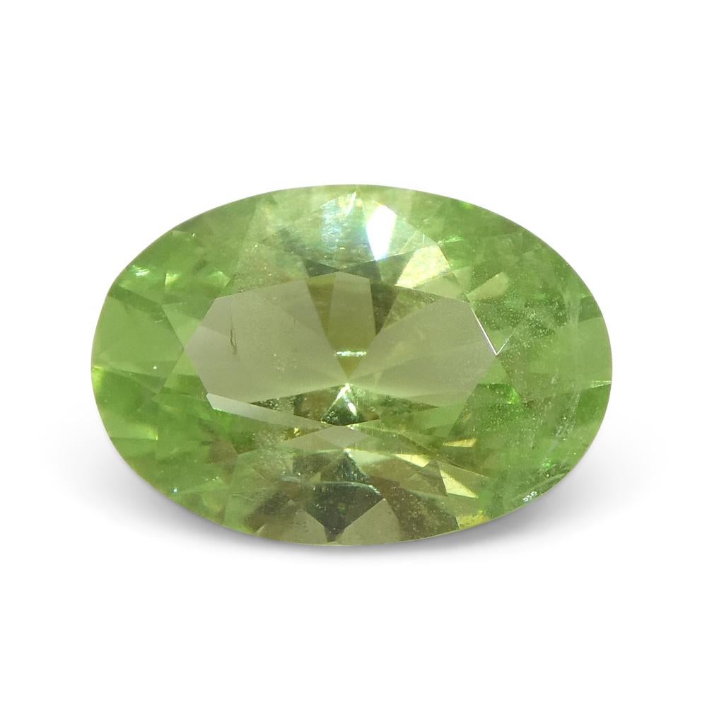 2.43ct Oval Green Mint Garnet from Tanzania For Sale 6